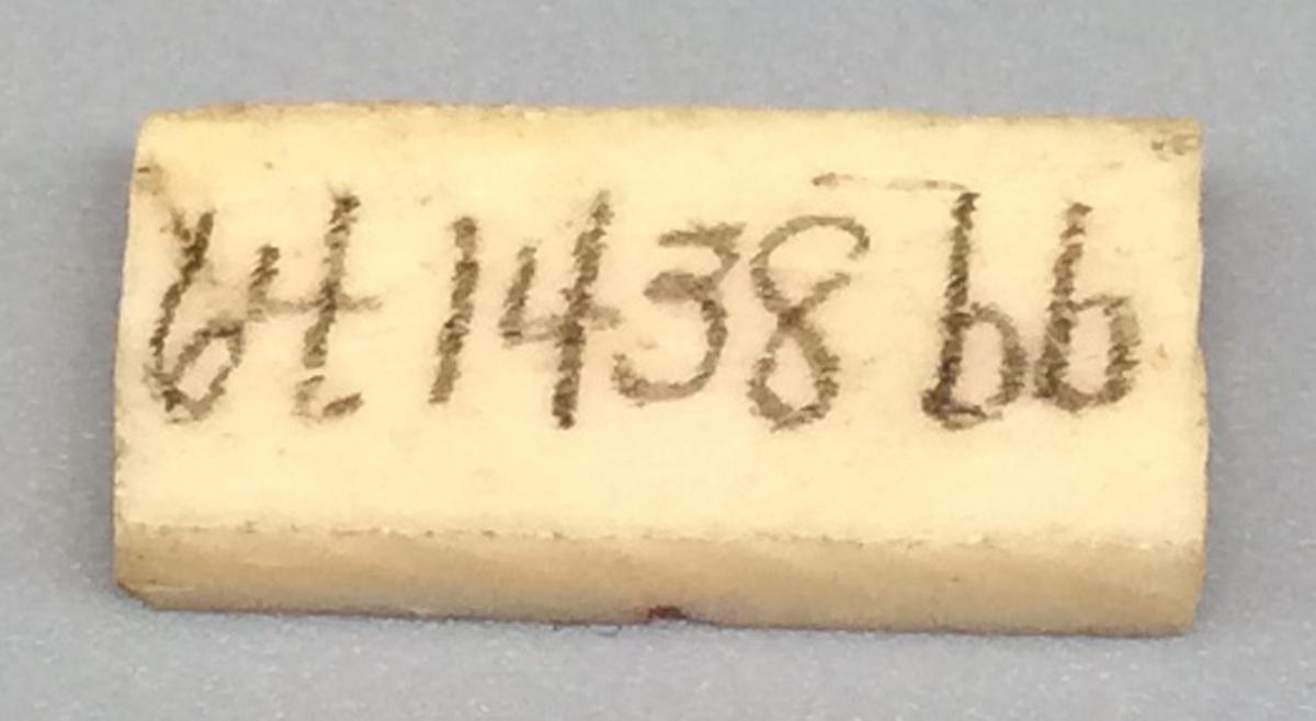 1964.1438 BB Domino, view 2