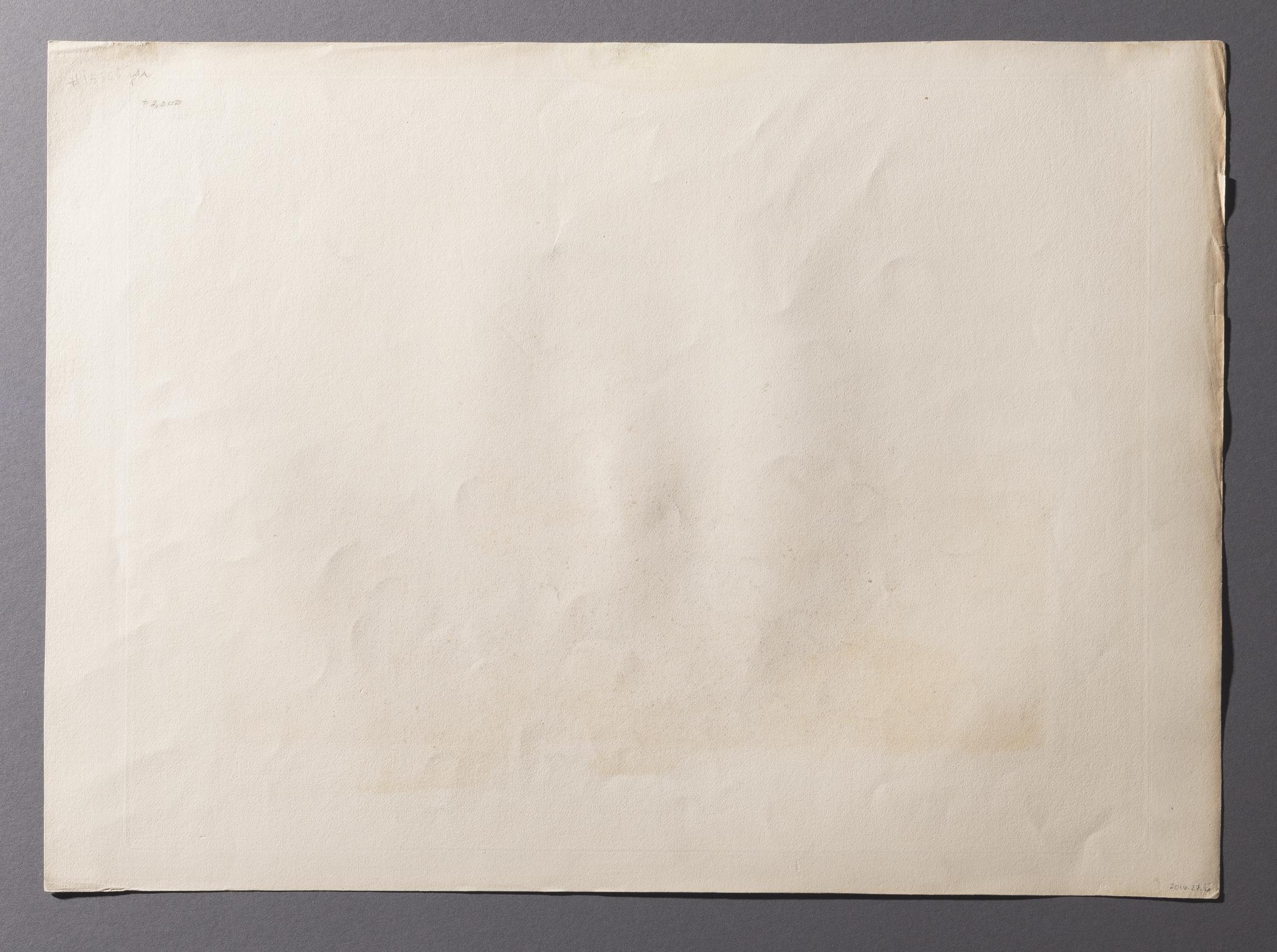 2016.0027.006 Print, view 4, reverse, raking light