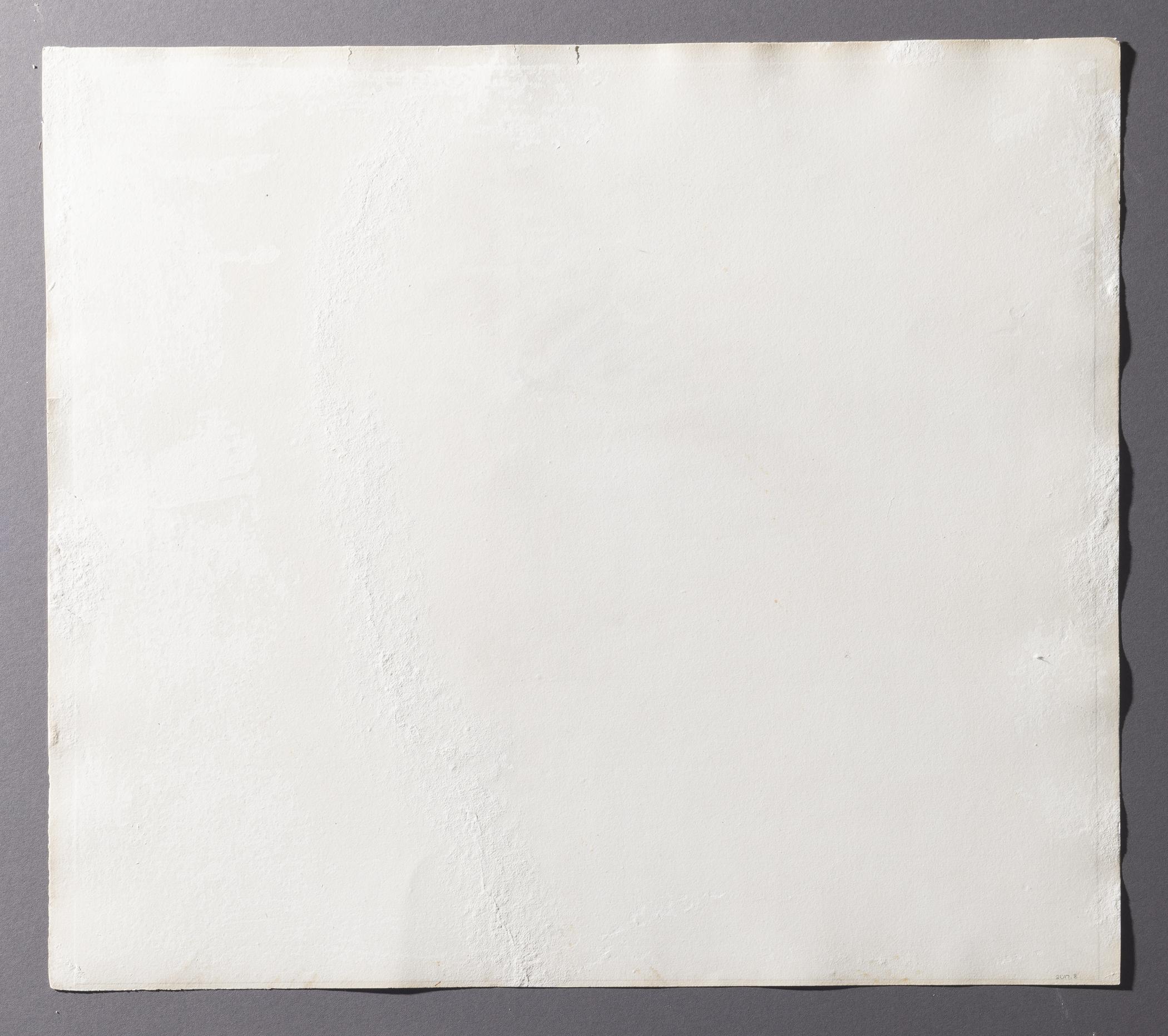 2017.0008 Print, view 4, reverse, raking light