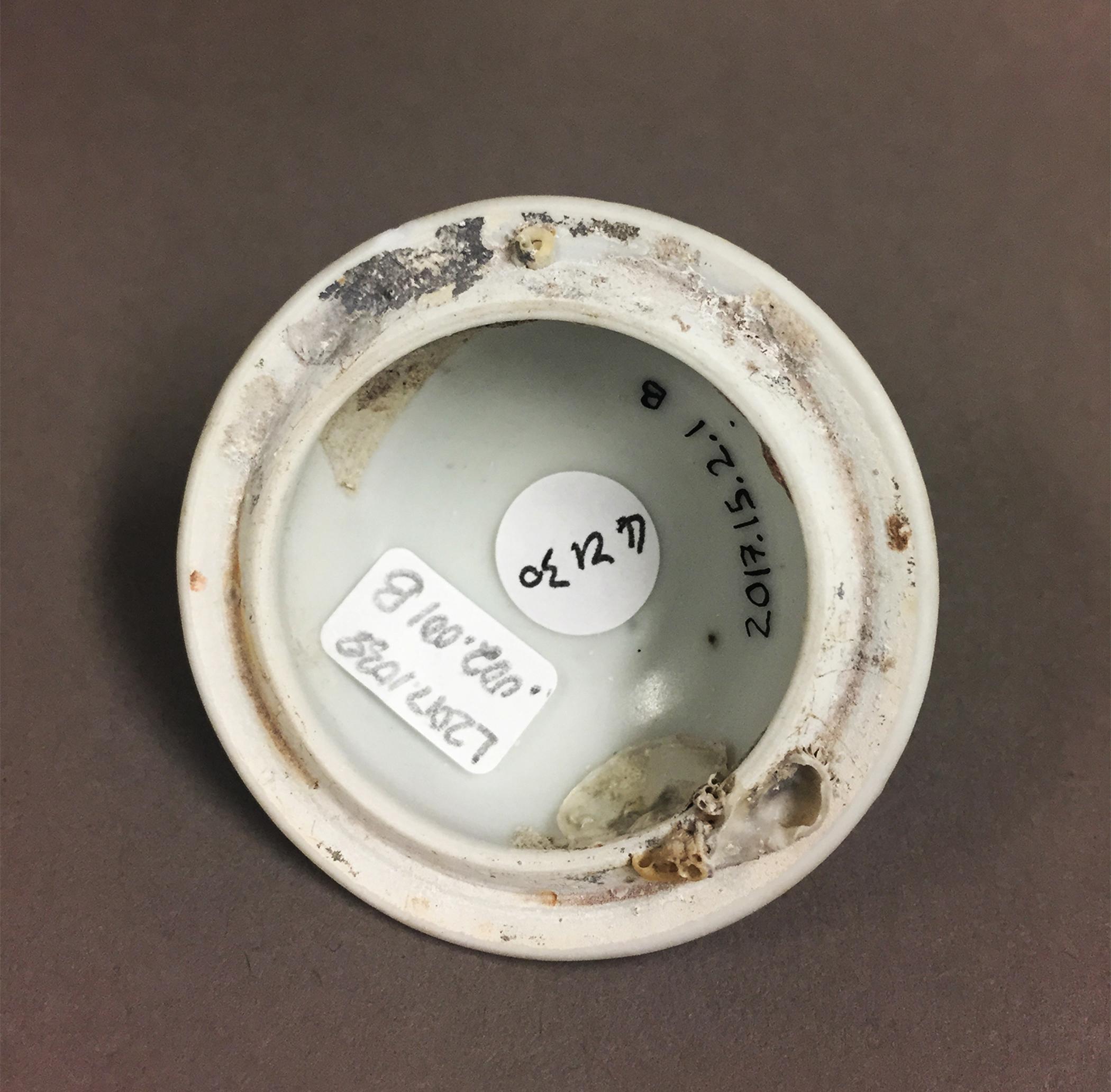 2017.0015.002.001 B Beaker, bottom