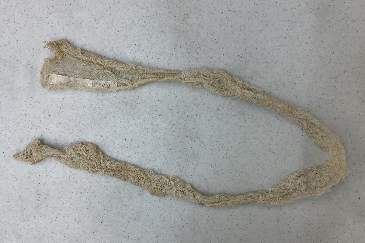 2017.0019.044 Textile fragment, woven, Reg Image, overall