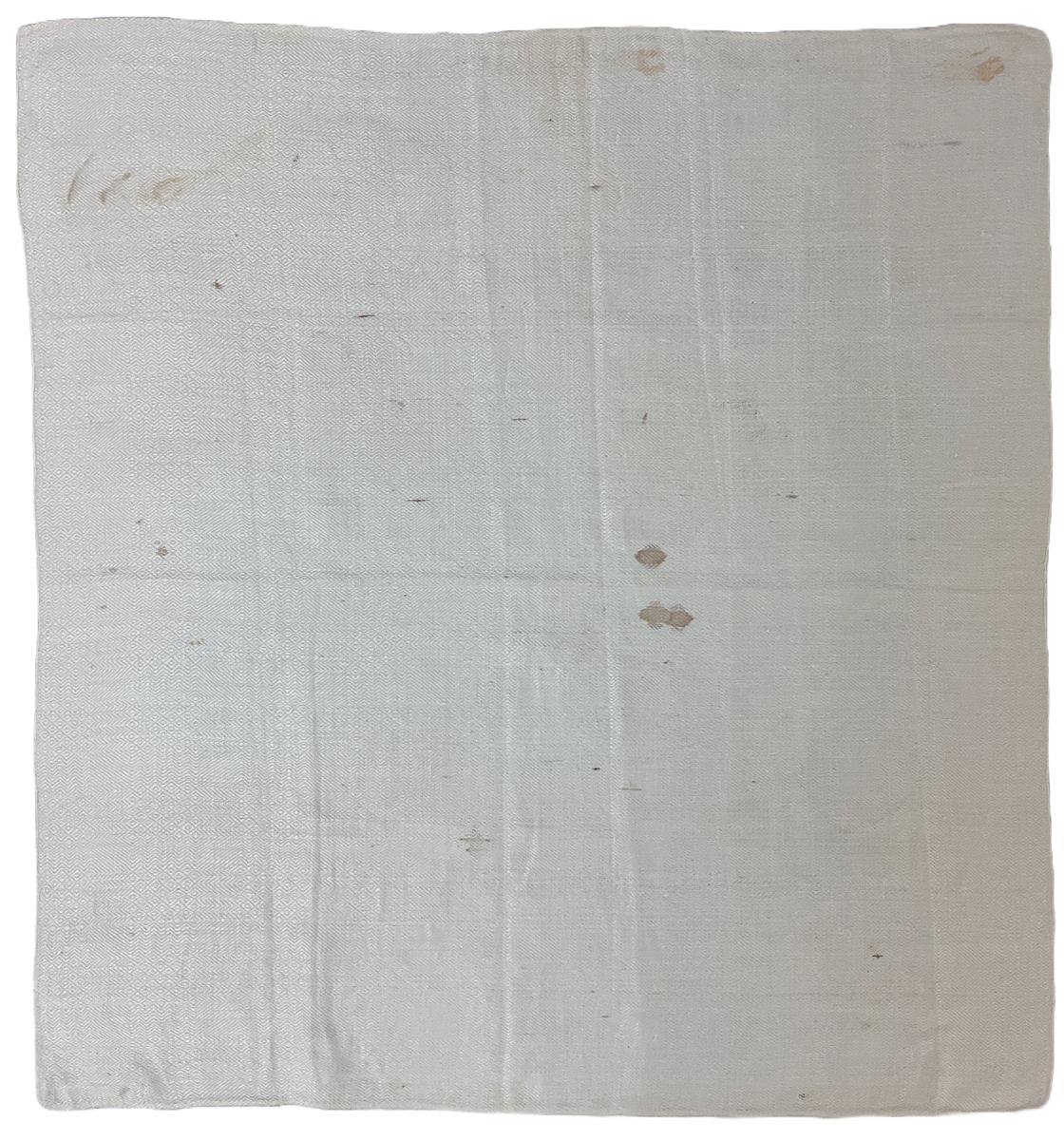 2017.0019.046.002 Towel, Reg Image, overall
