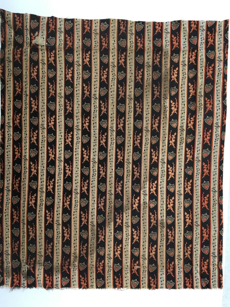 2017.0019.054 Textile fragment, printed, Reg Image, overall