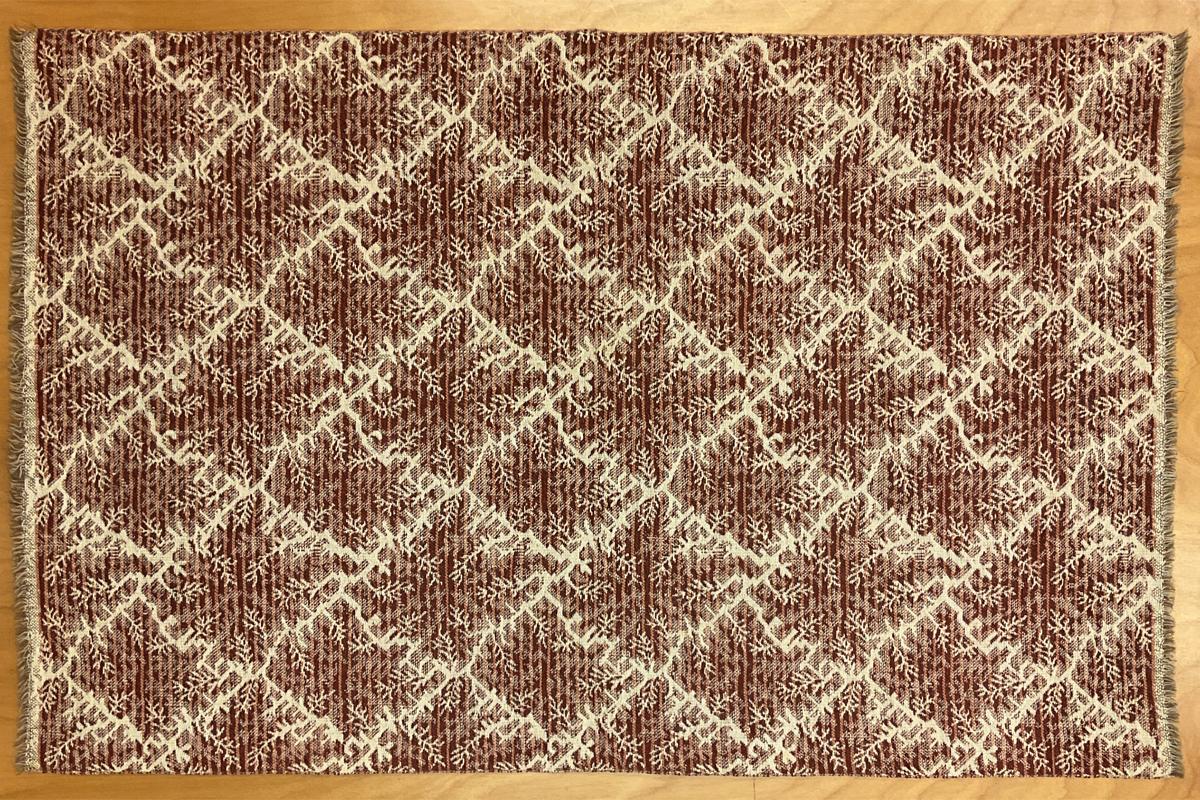2017.0019.060.001 Rug fragment, Ingrain rug fragment, Reg Image, overall