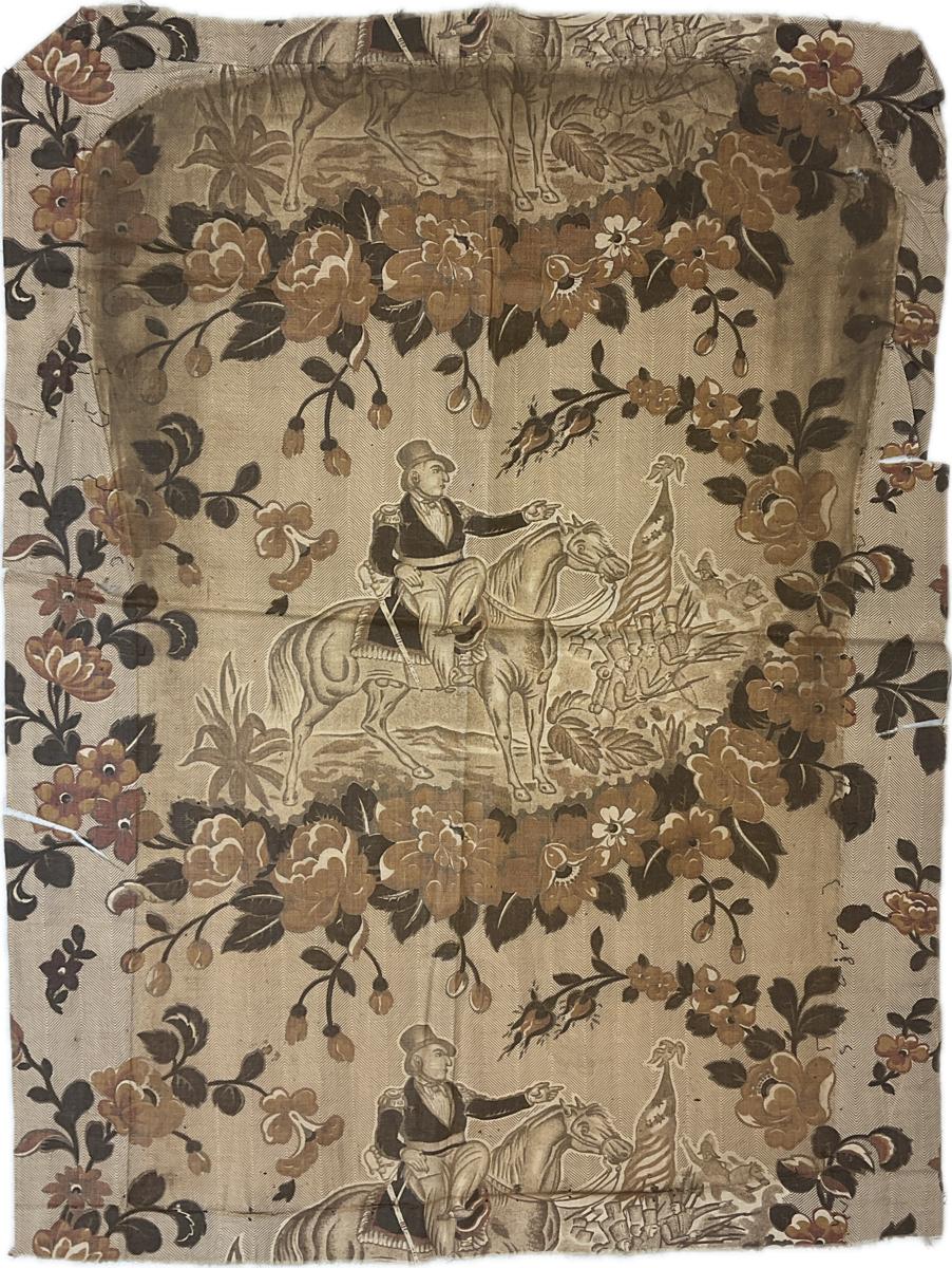 2017.0019.071.007 Textile fragment, printed, Reg Image, overall