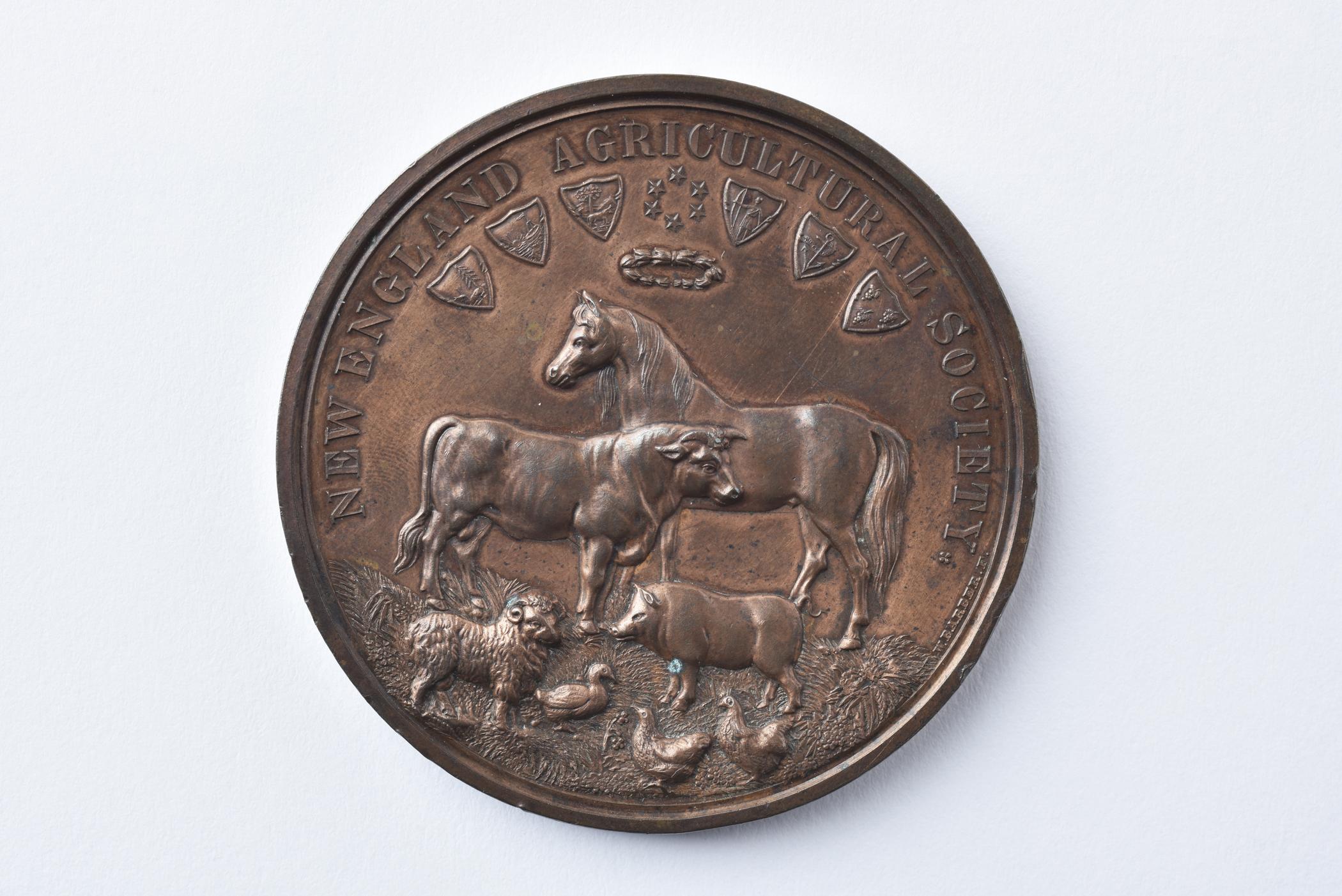 2017.0043.001 Medal, view 1
