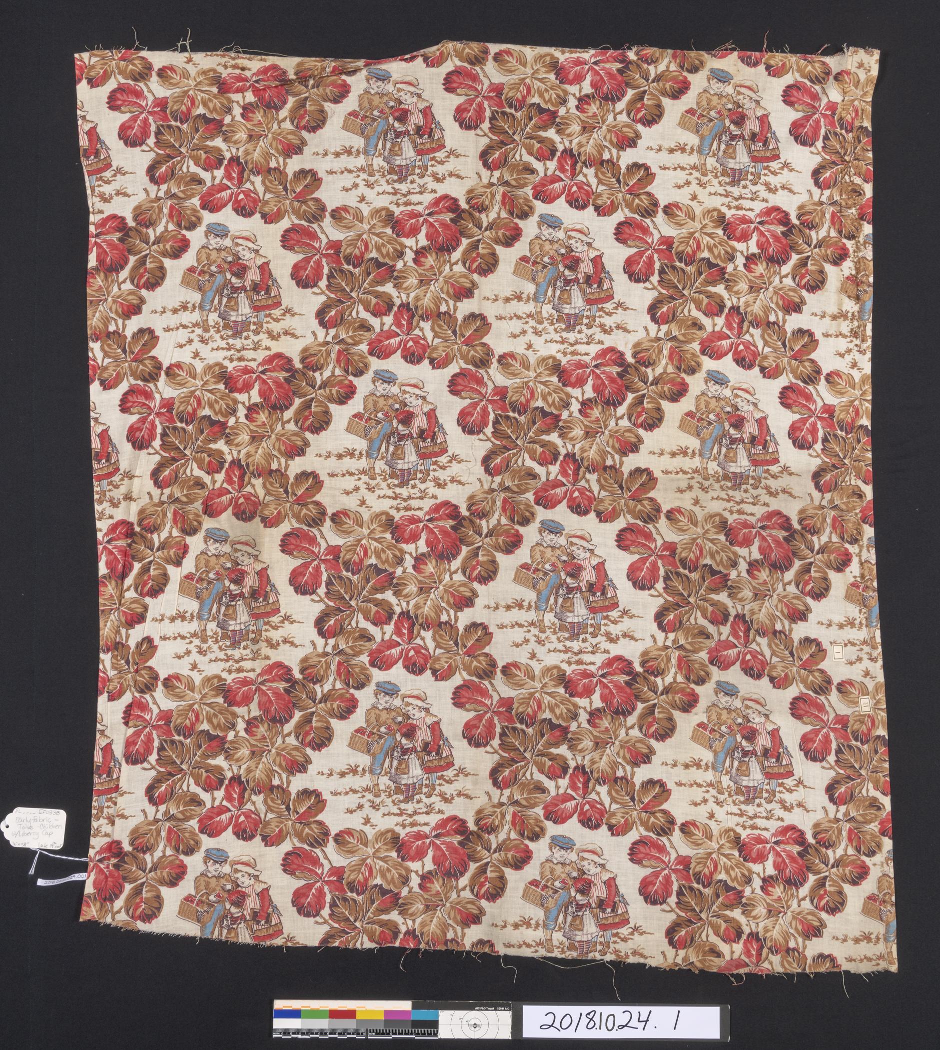2018.0010.024.001 Textile fragment, printed, view 1