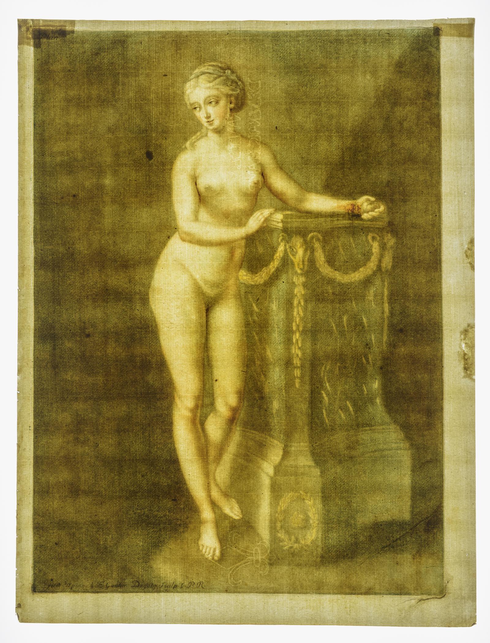 2017.0033.002 Print, view 3, transmitted light