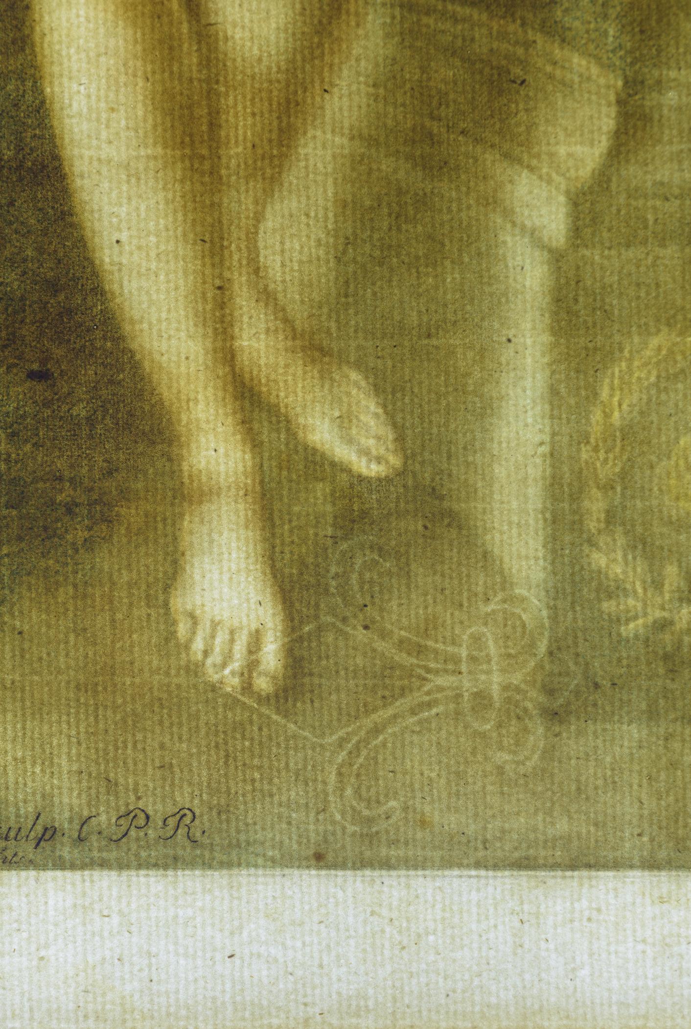 2017.0033.002 Print, detail 2, transmitted light