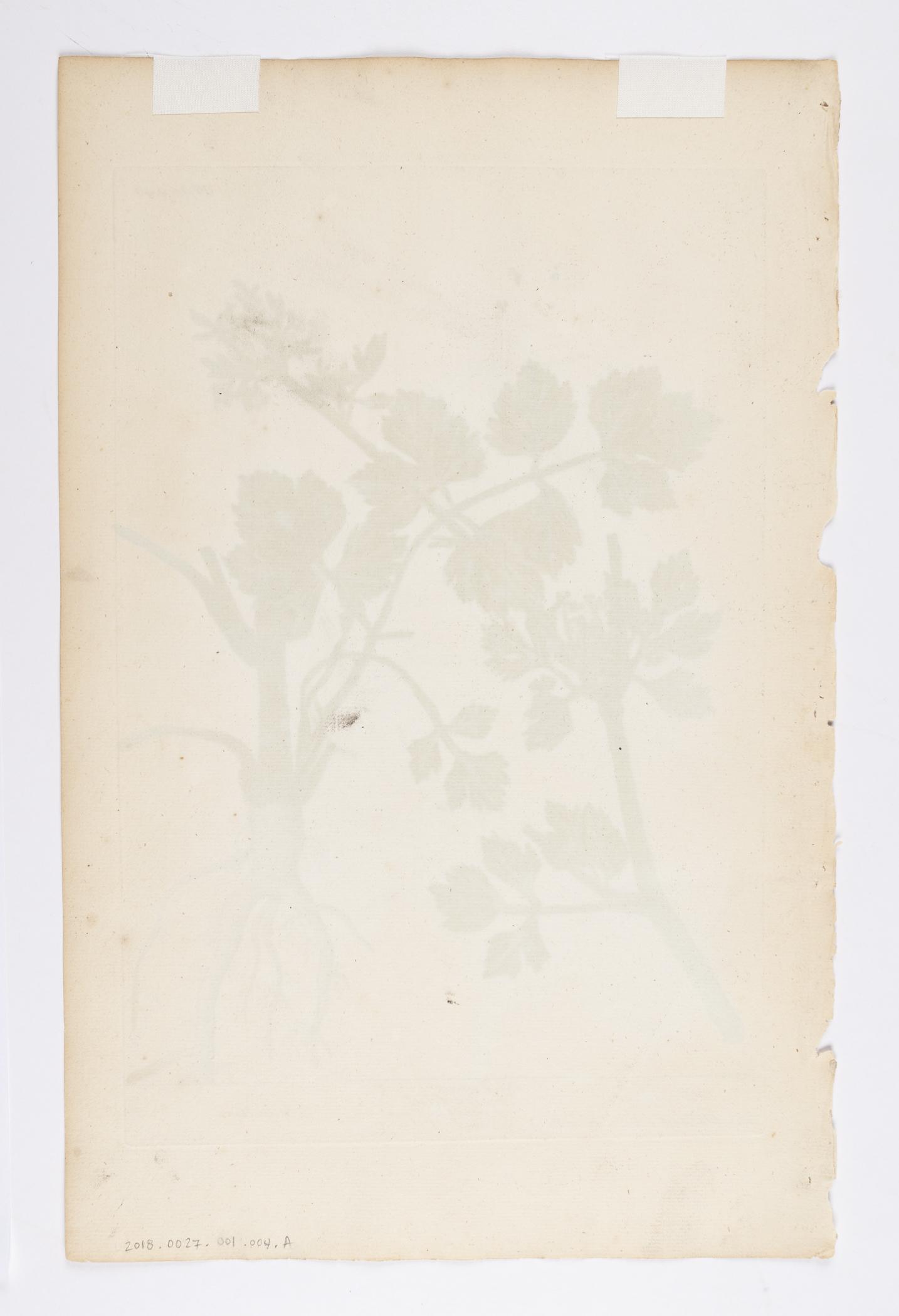 2018.0027.001.004 A Print, view 2, reverse
