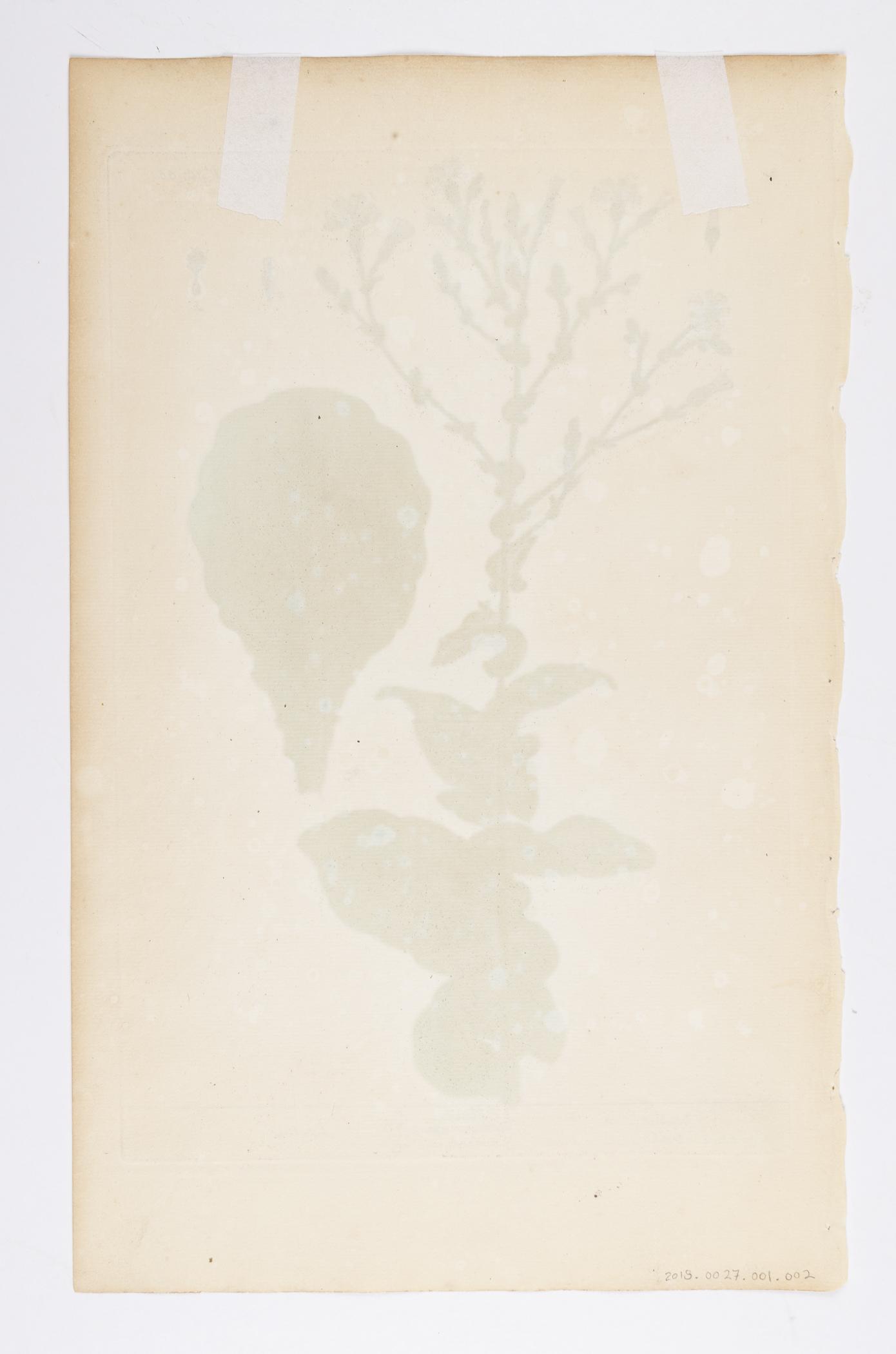 2018.0027.001.002 Print, view 2, reverse