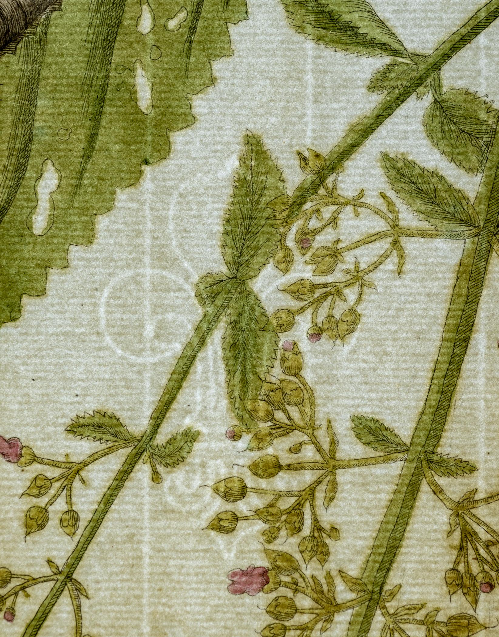 2018.0027.001.001 A Print, watermark