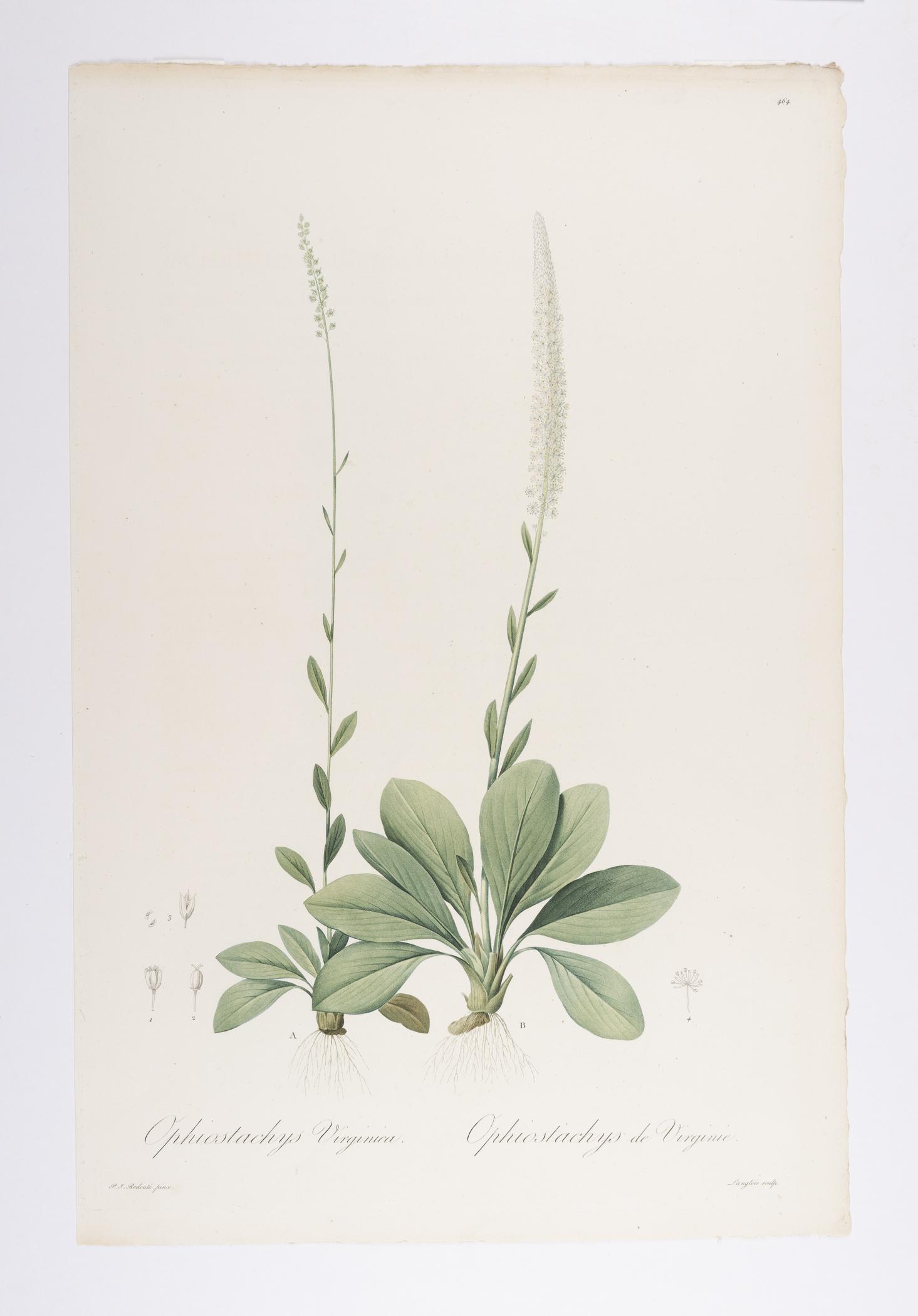 2018.0027.002.007 A Print, view 1