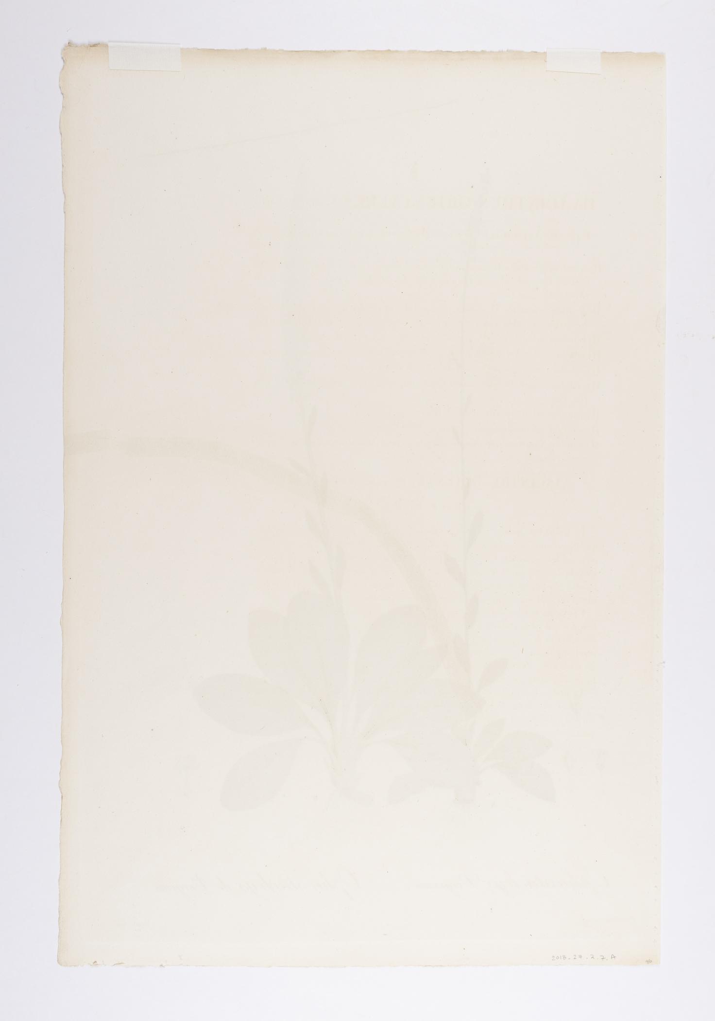 2018.0027.002.007 A Print, view 2, reverse