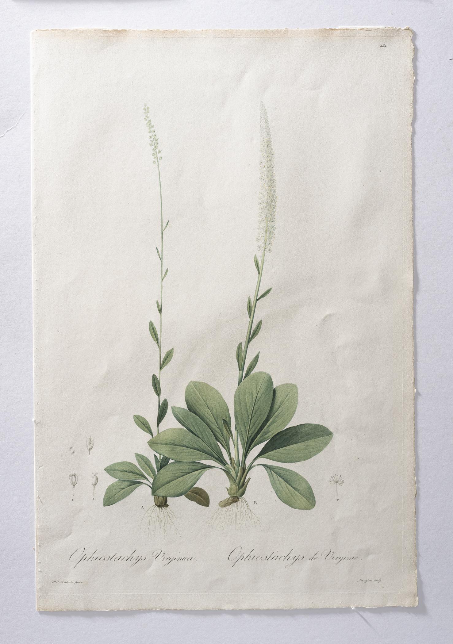 2018.0027.002.007 A Print, view 3, raking light