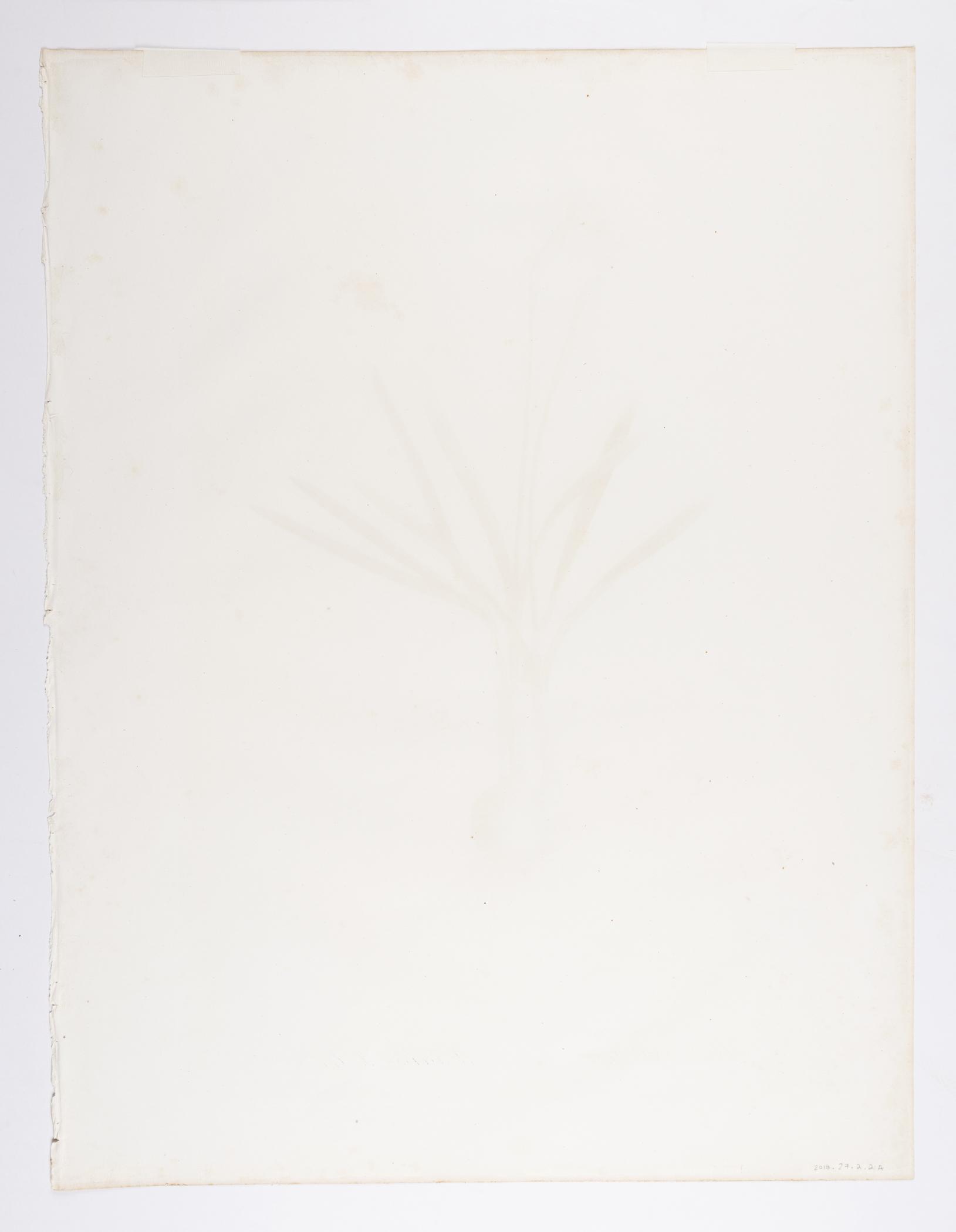 2018.0027.002.002 A Print, view 2, reverse
