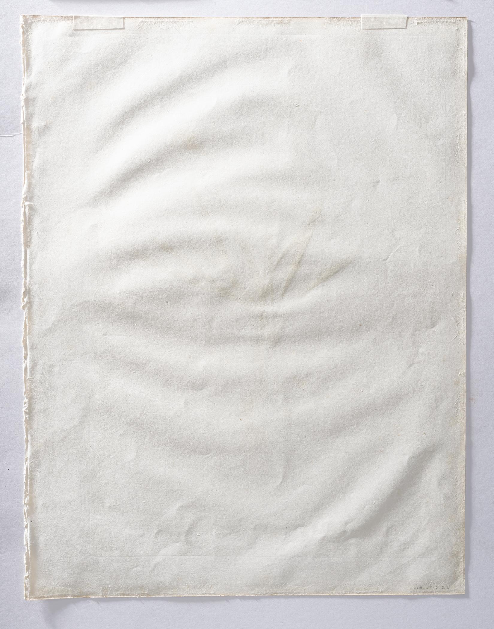 2018.0027.002.002 A Print, view 4, reverse, raking light