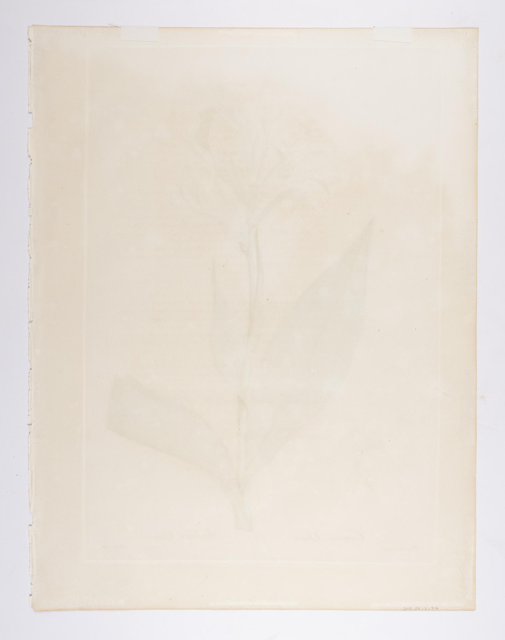 2018.0027.002.004 Print, view 2, reverse