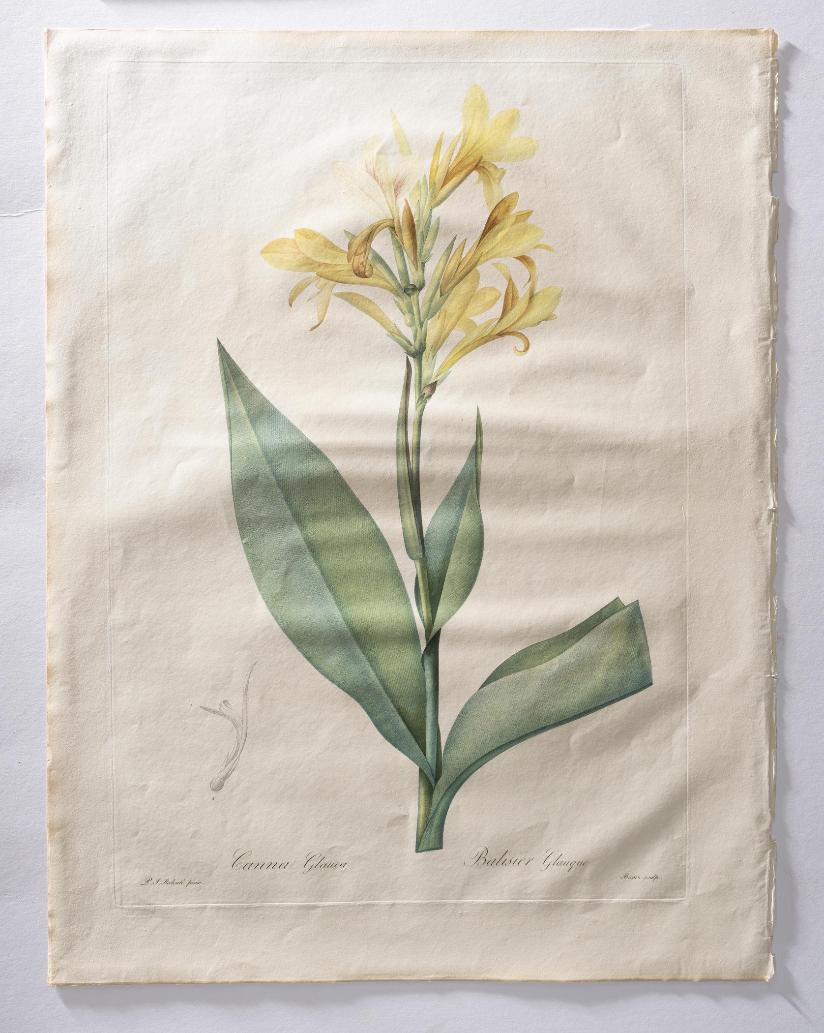 2018.0027.002.004 Print, view 3, raking light