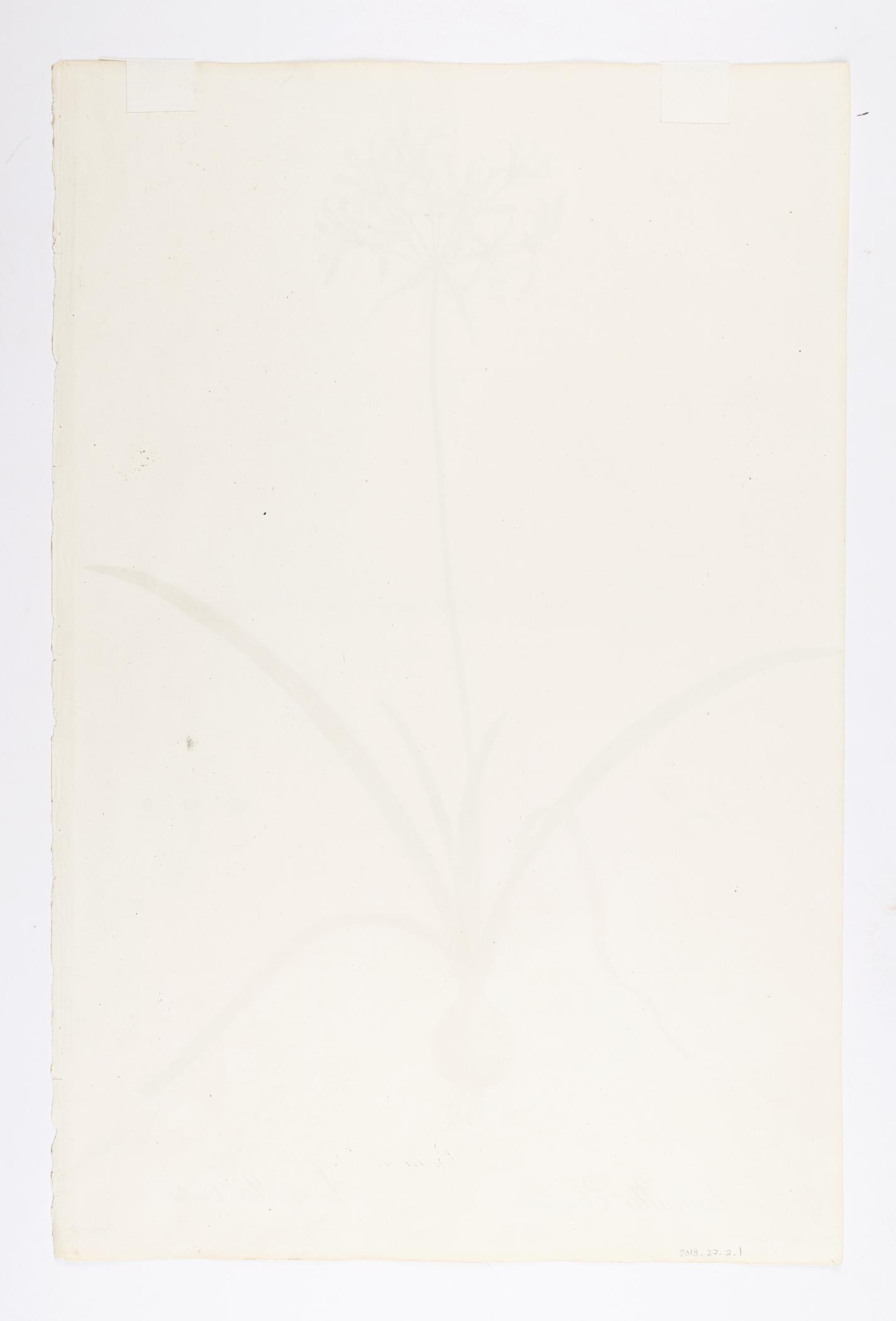 2018.0027.002.001 Print, view 2, reverse