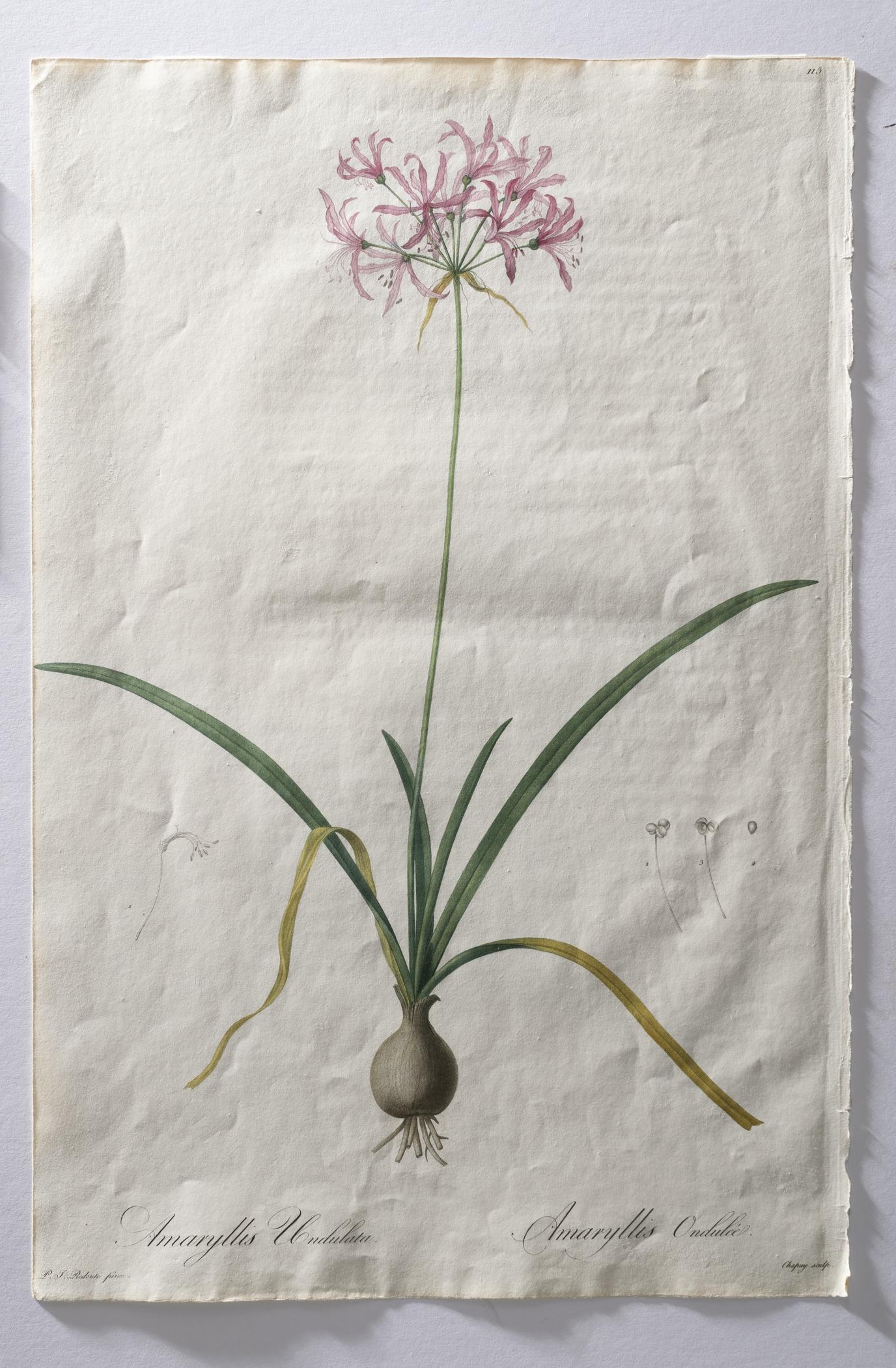2018.0027.002.001 Print, view 3, raking light