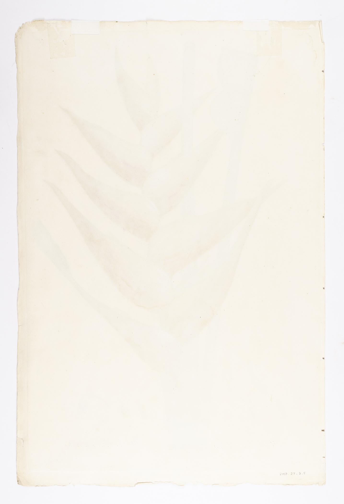 2018.0027.002.005 Print, view 2, reverse