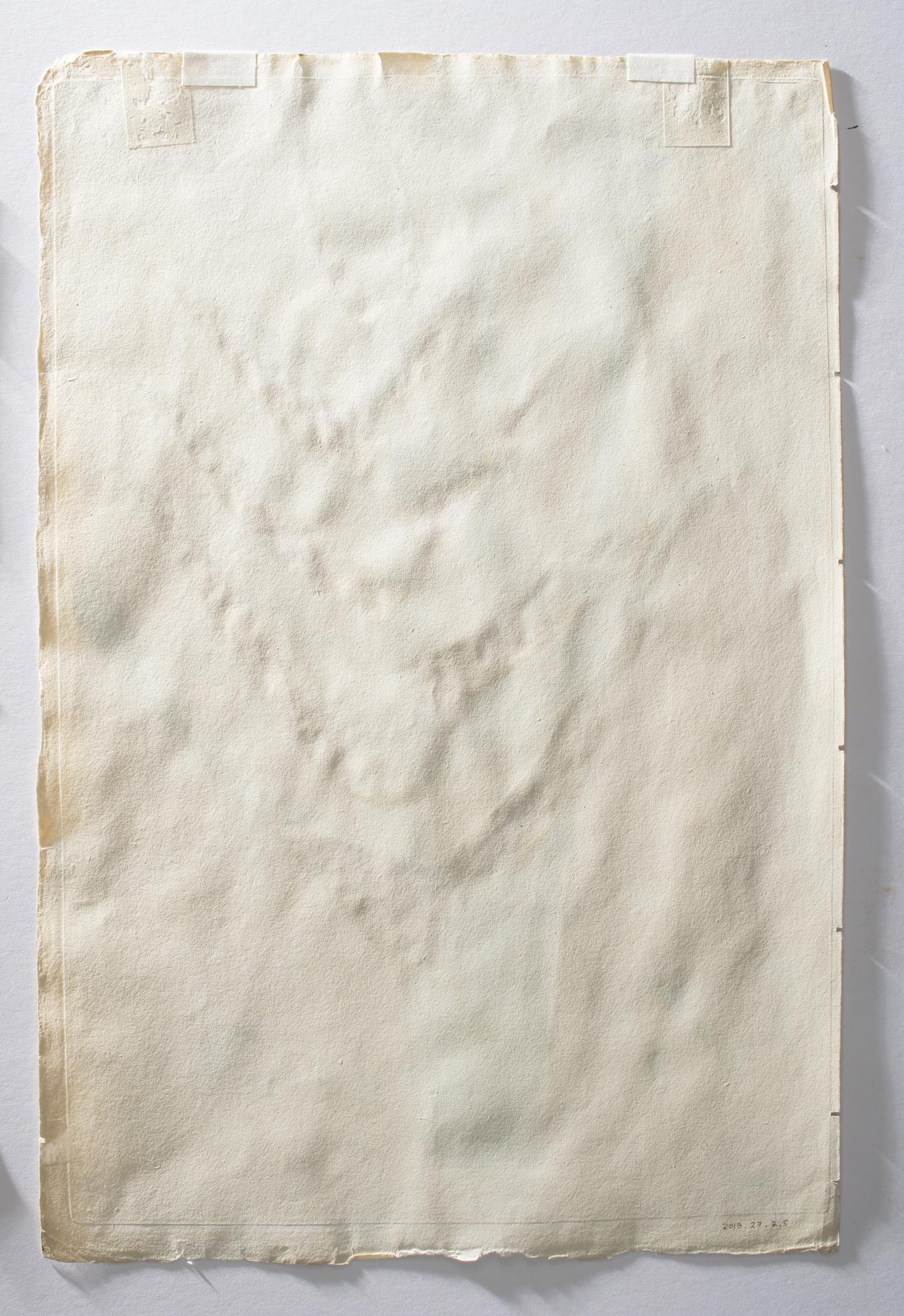 2018.0027.002.005 Print, view 4, reverse, raking light