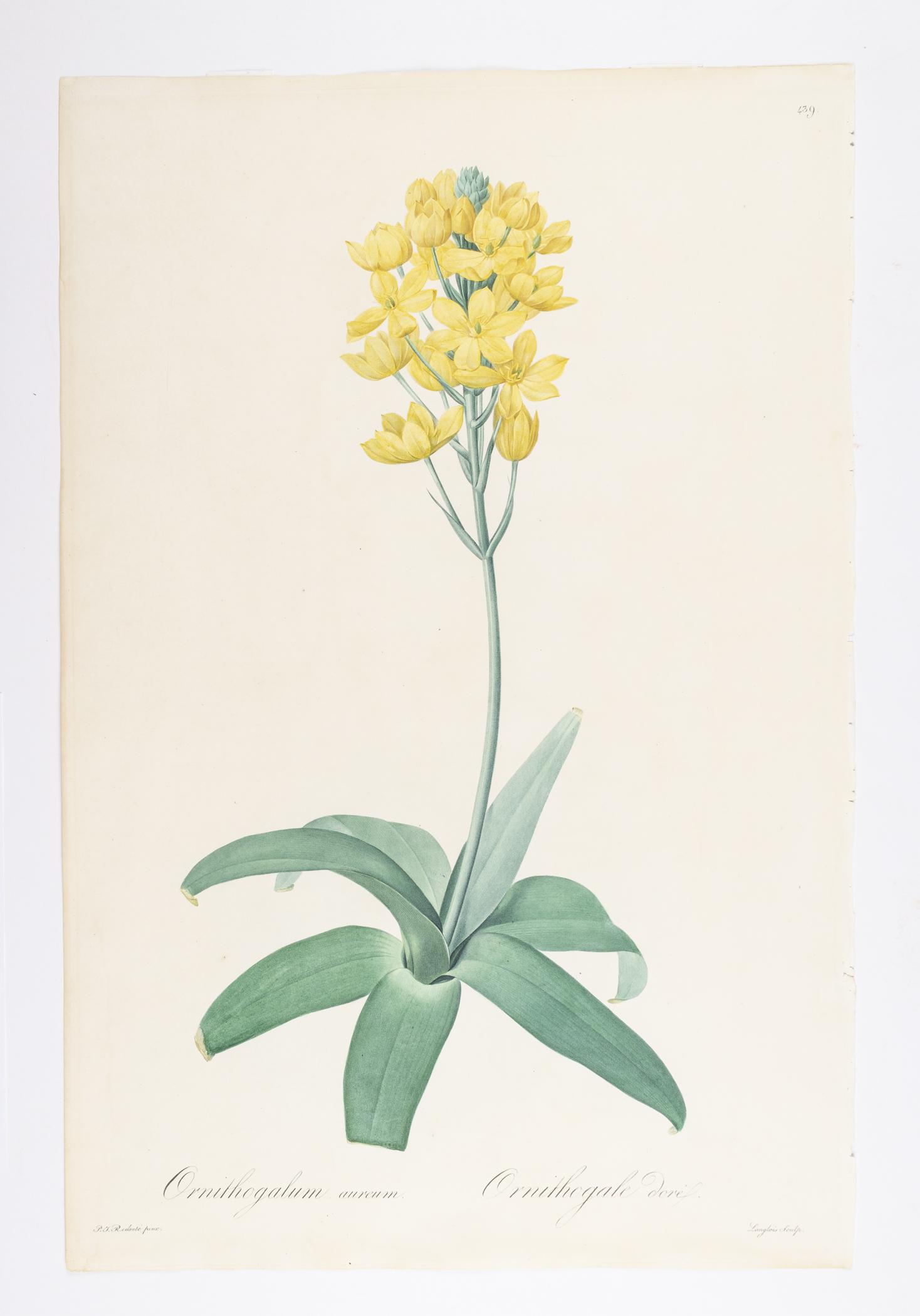 2018.0027.002.006 Print, view 1