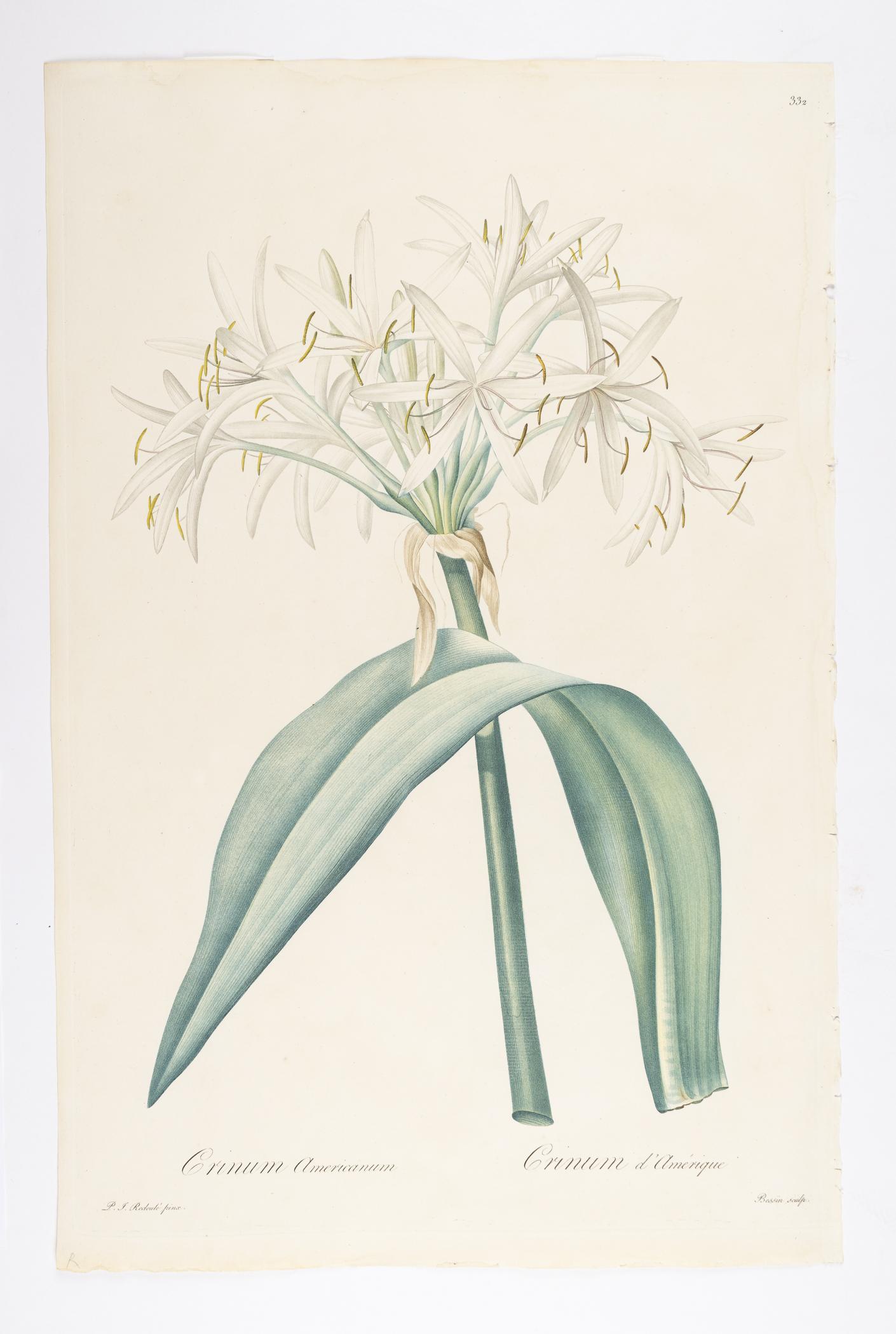 2018.0027.002.003 Print, view 1