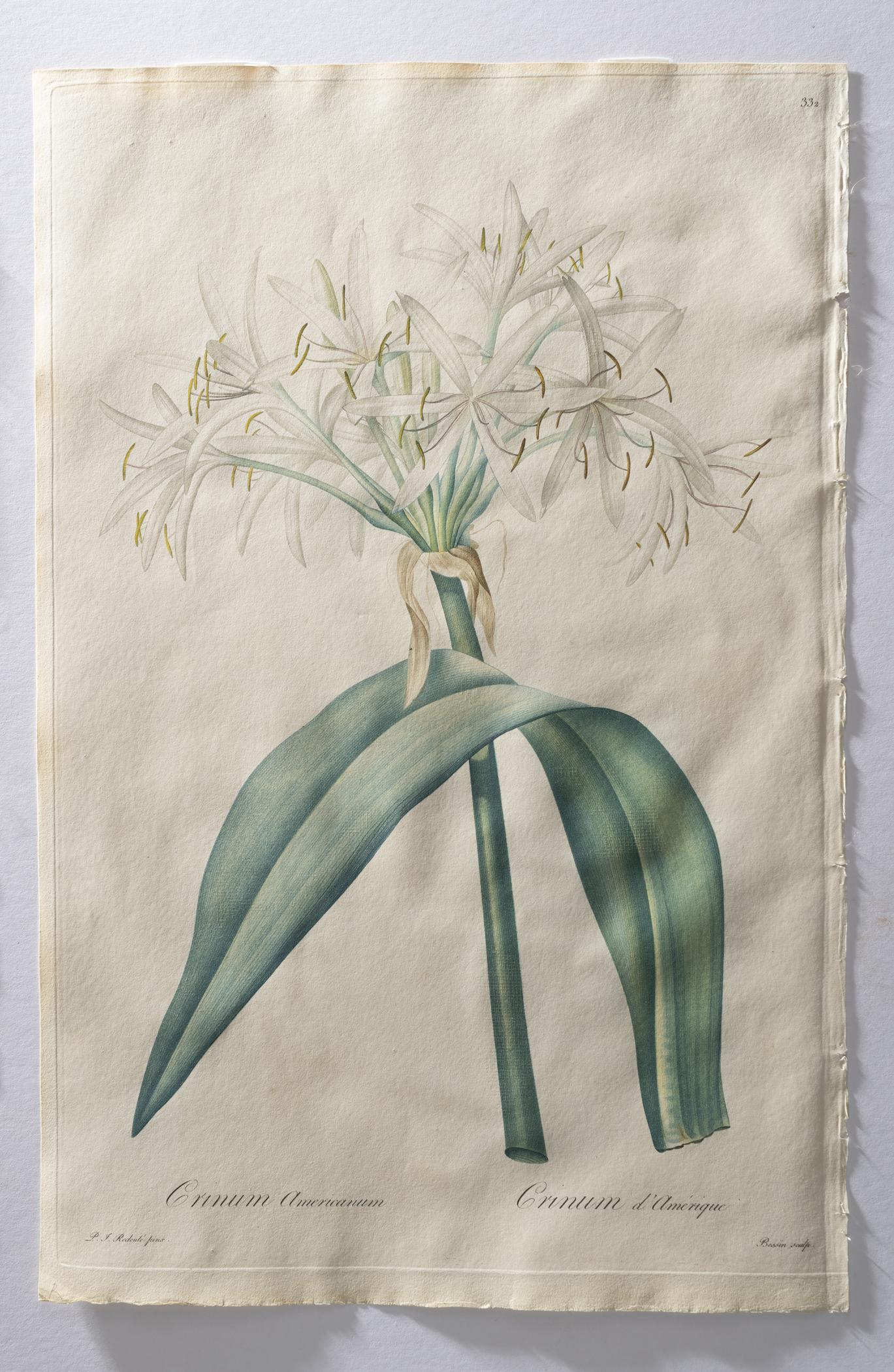 2018.0027.002.003 Print, view 3, raking light
