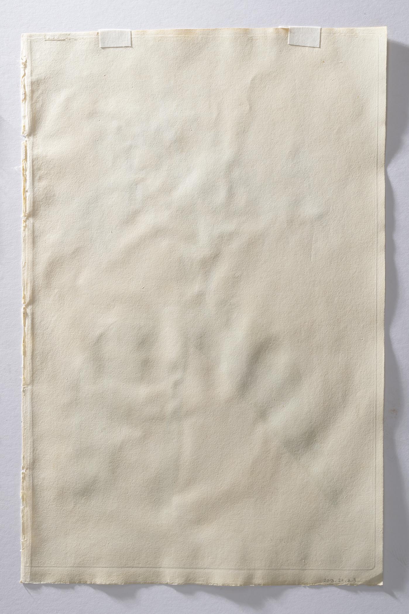 2018.0027.002.003 Print, view 4, reverse, raking light