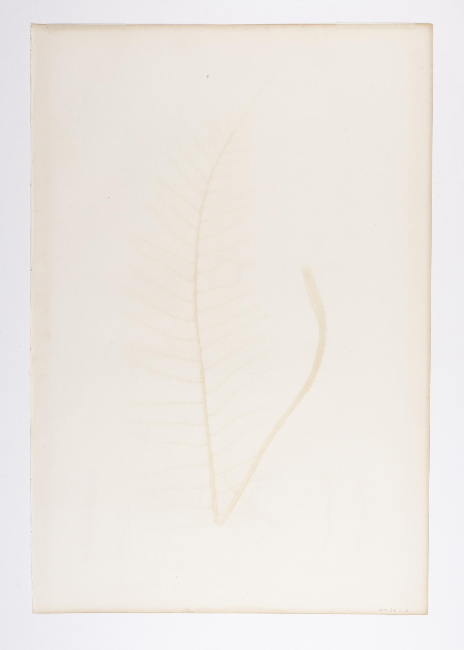 2018.0027.003.002 Print, view 2, reverse