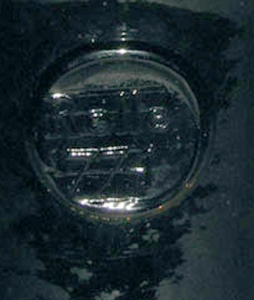 1959.1978 Glass wine bottle (seal)