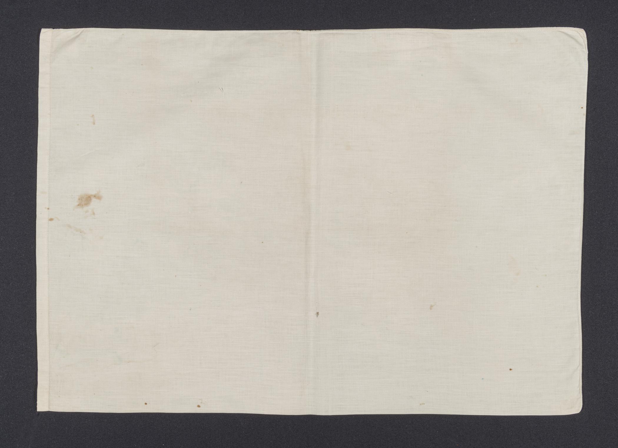 2019.0032.032 A Pillow cover, view 2, reverse