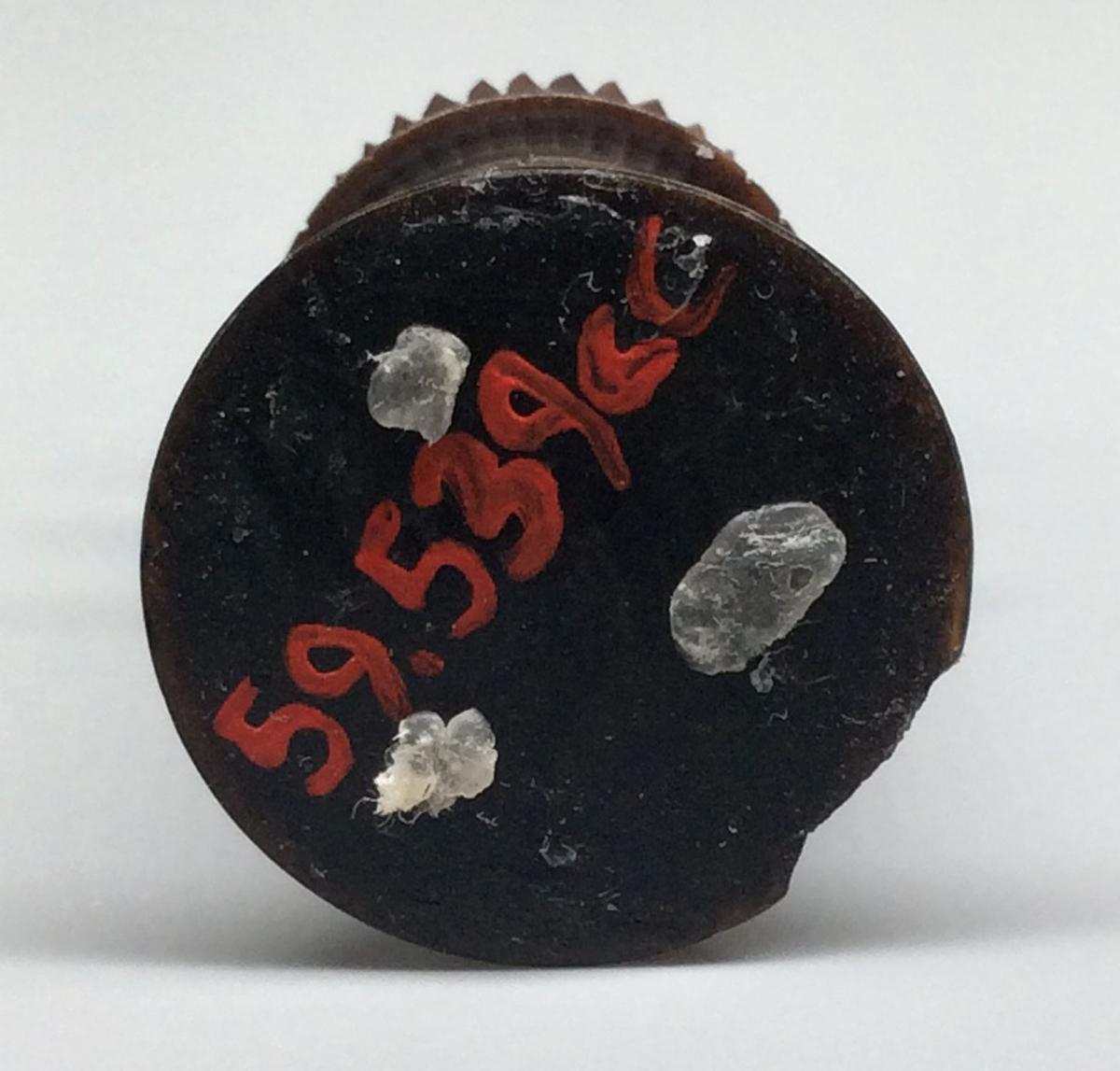 1959.0539 CC Chess piece, view 3