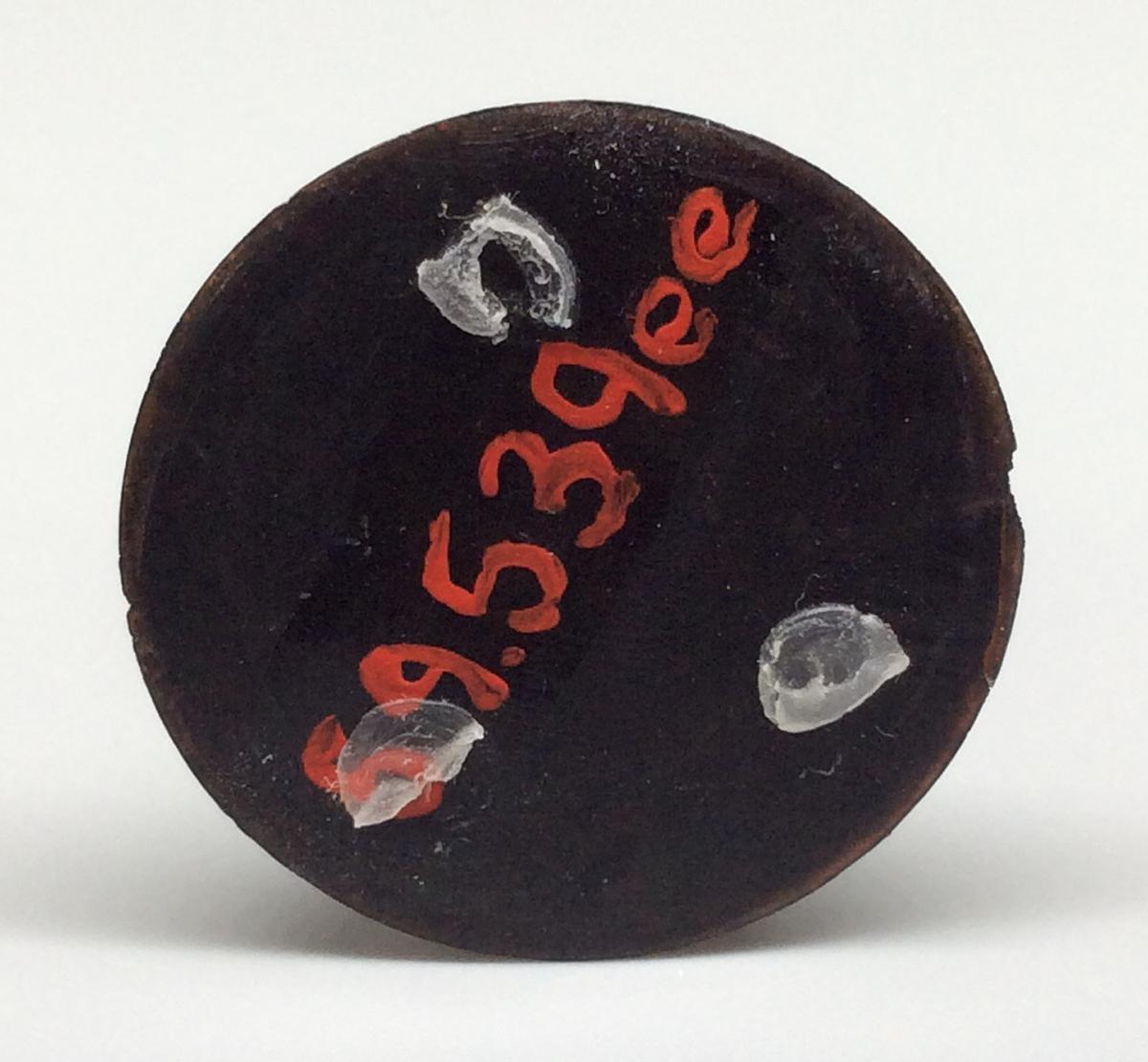 1959.0539 EE Chess piece, view 3