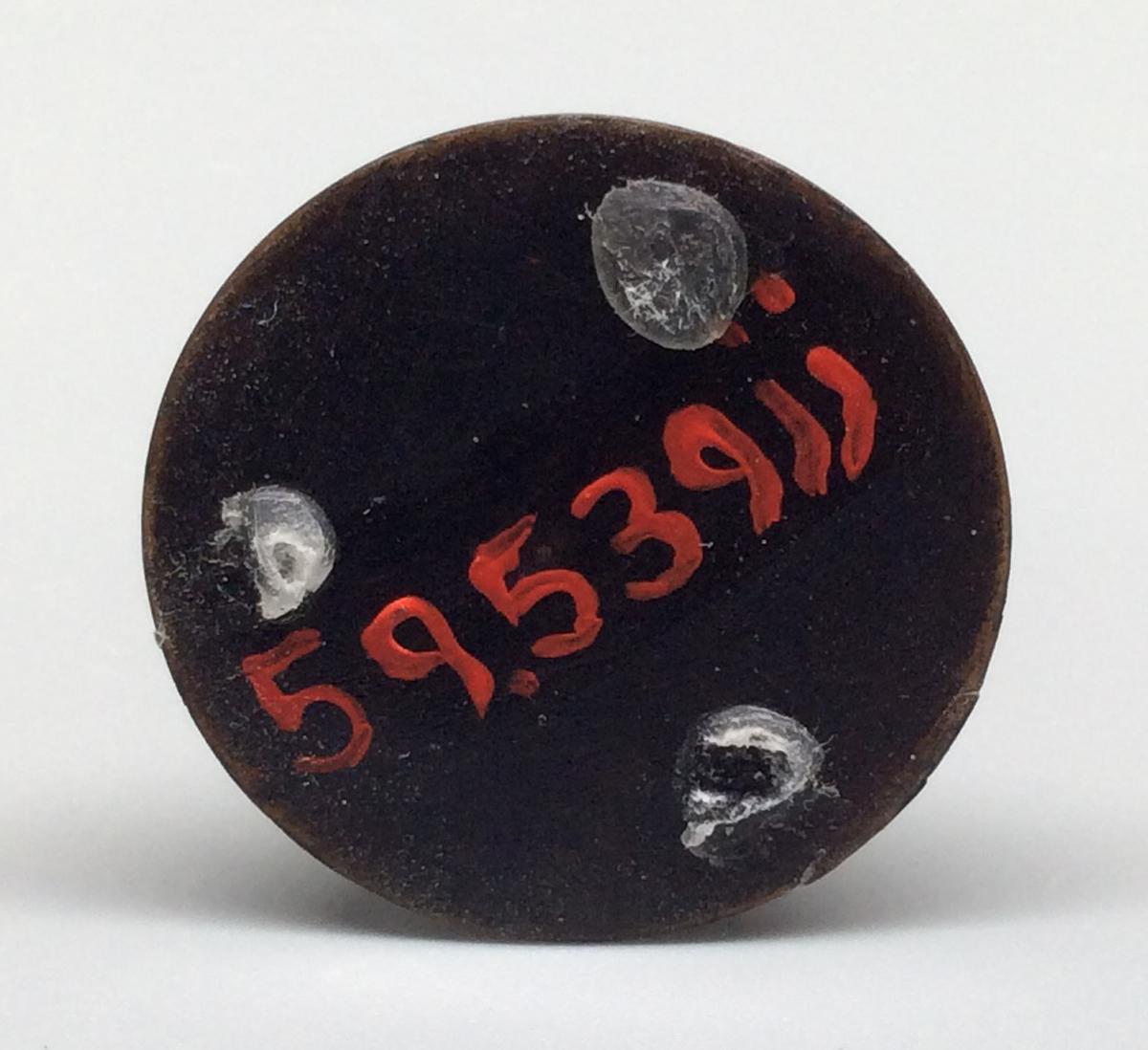 1959.0539 JJ Chess piece, view 3