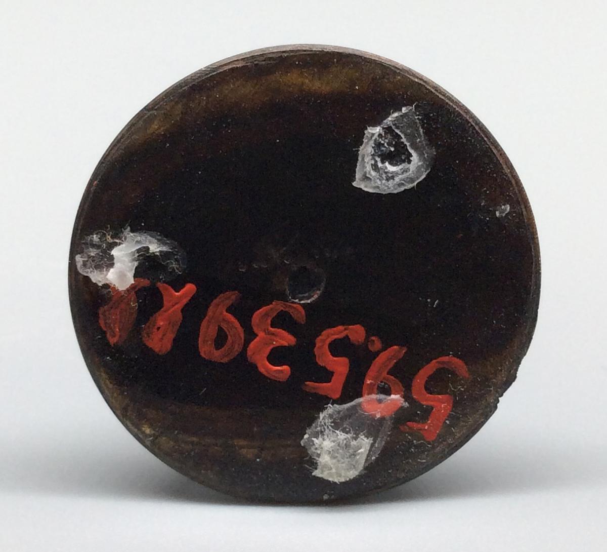 1959.0539 LL Chess piece, view 3