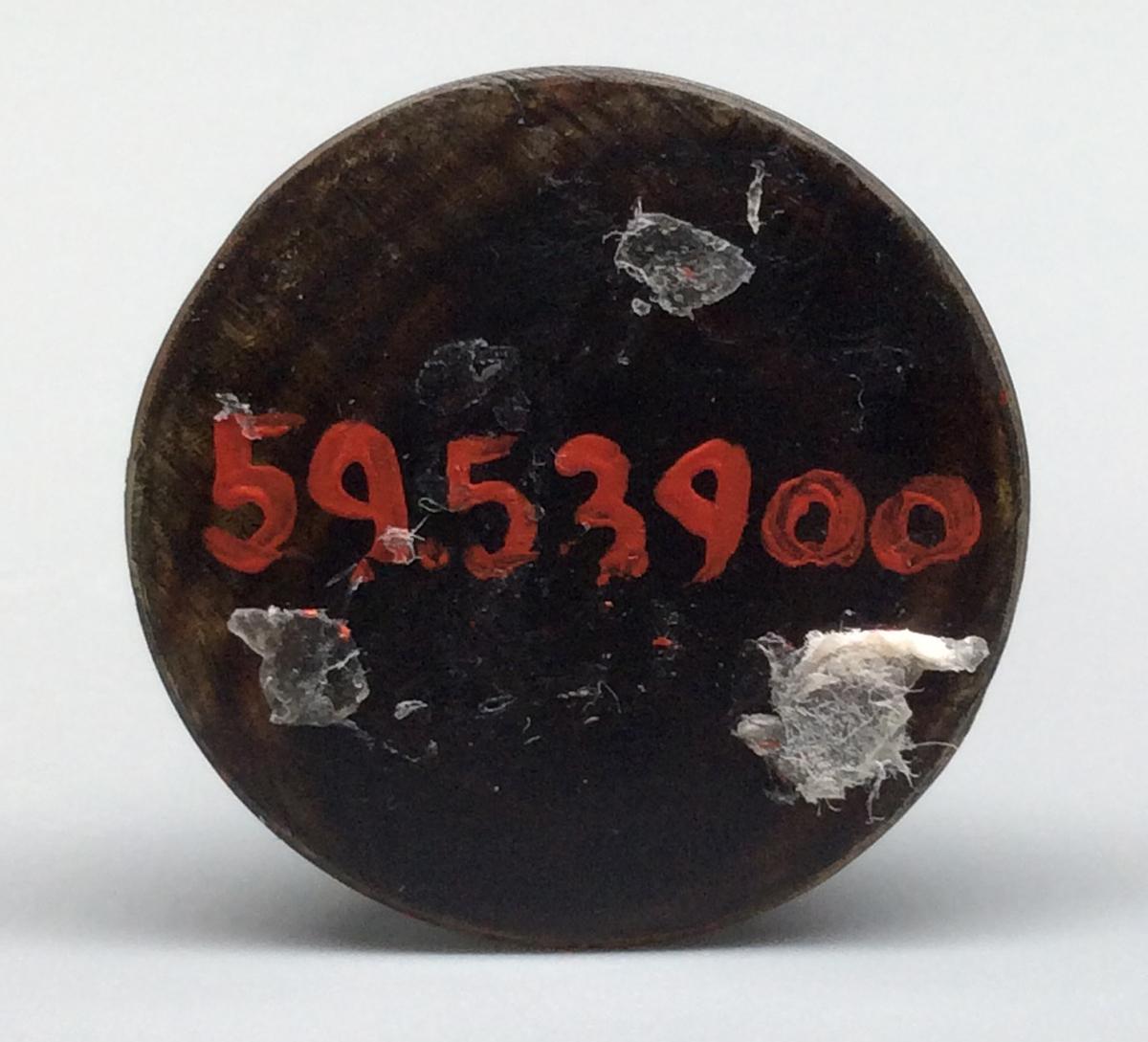 1959.0539 OO Chess piece, view 3