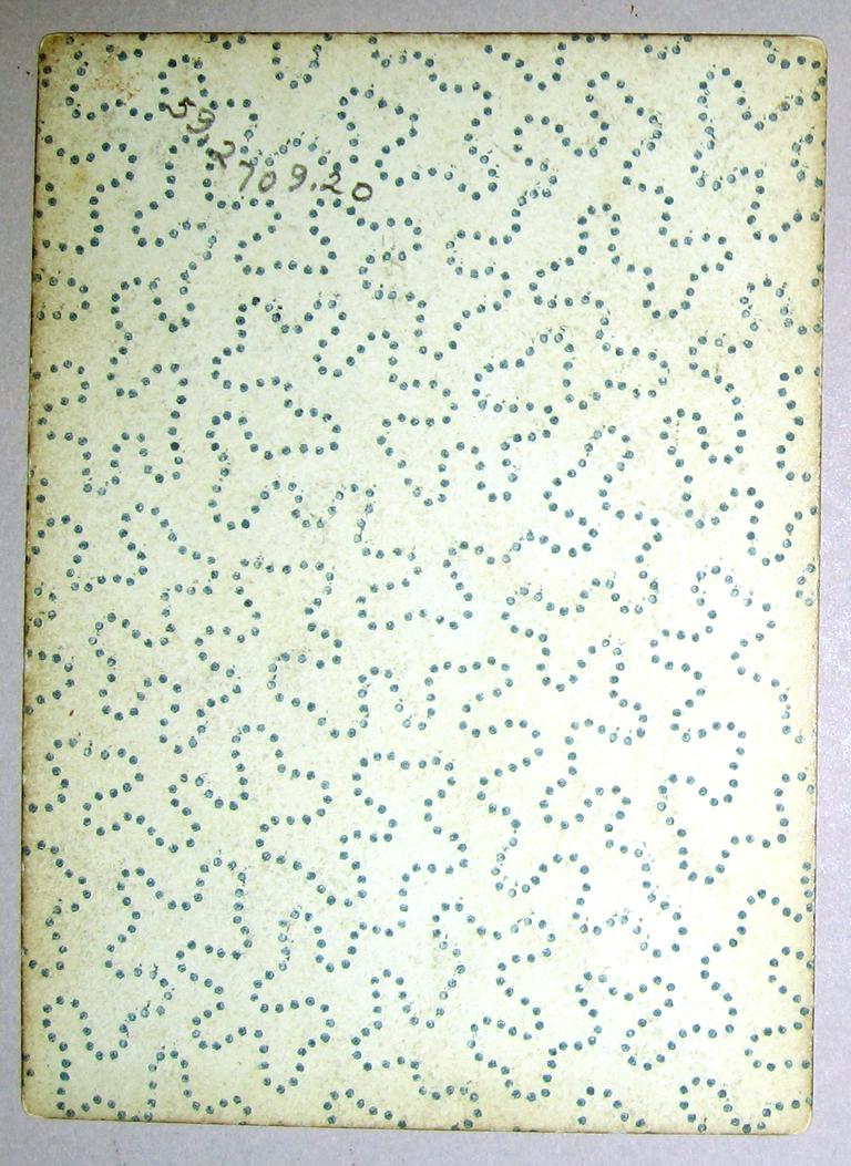 1959.2709.020 Playing Card reverse