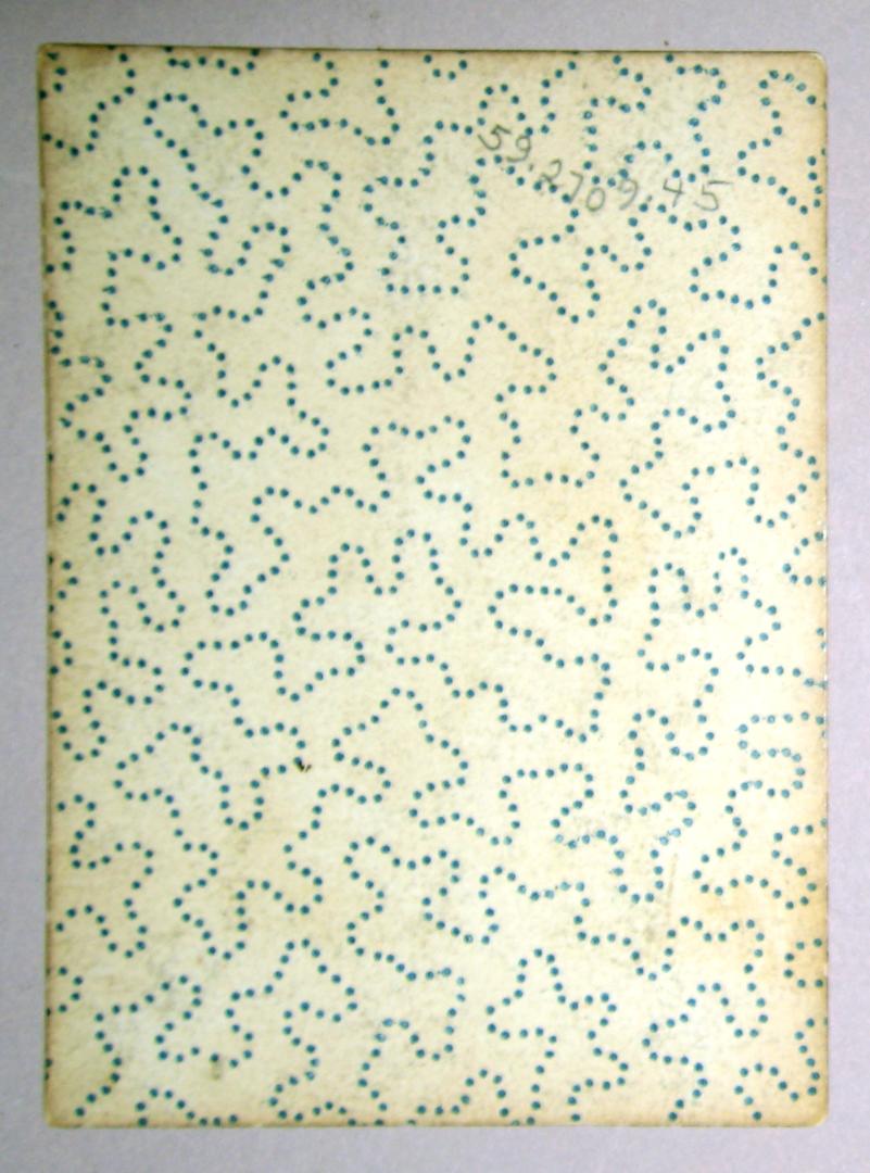 1959.2709.045 Playing Card reverse