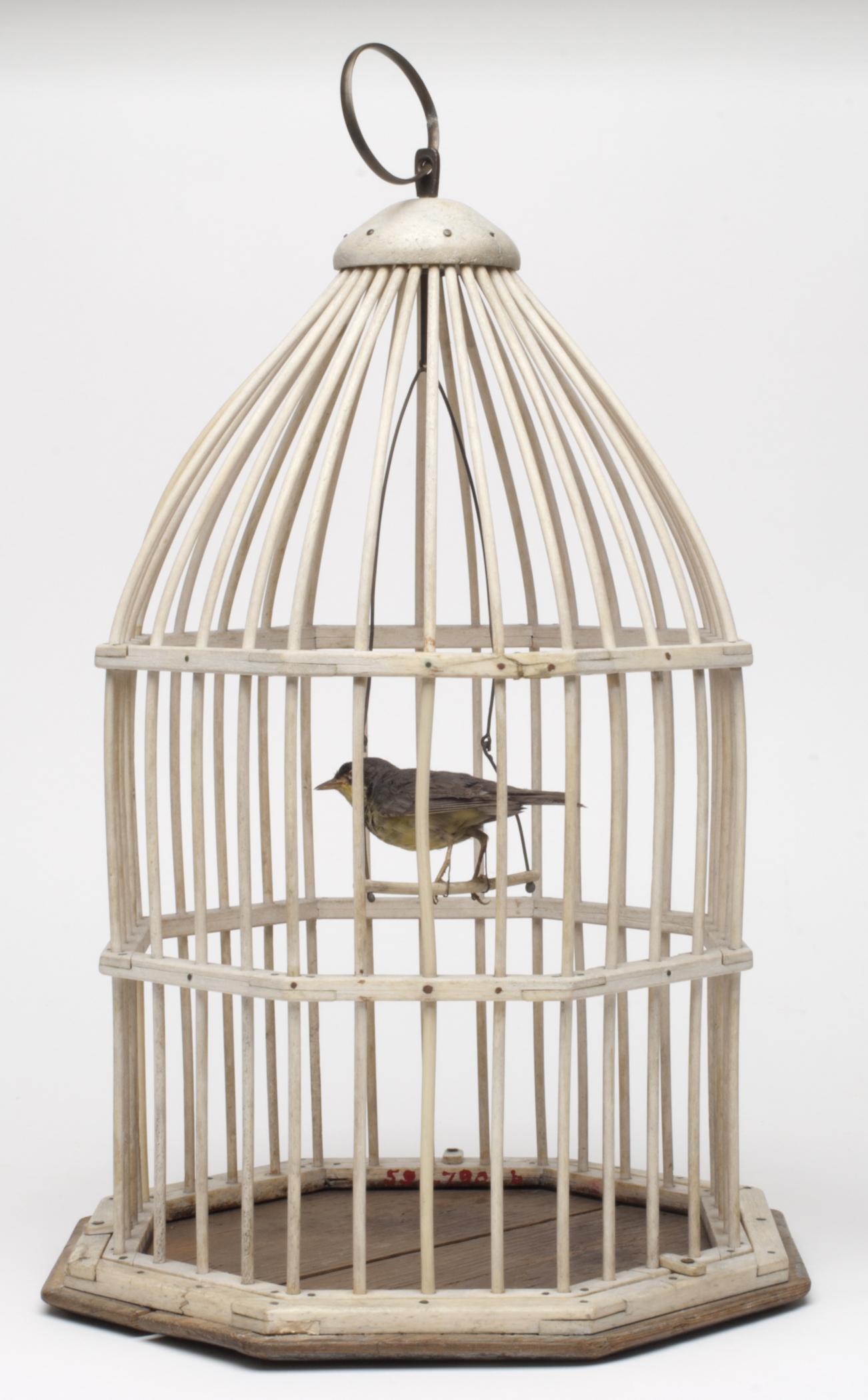 1959.2790 A Birdcage, B Bird, view 1, after conservation treatment, crop