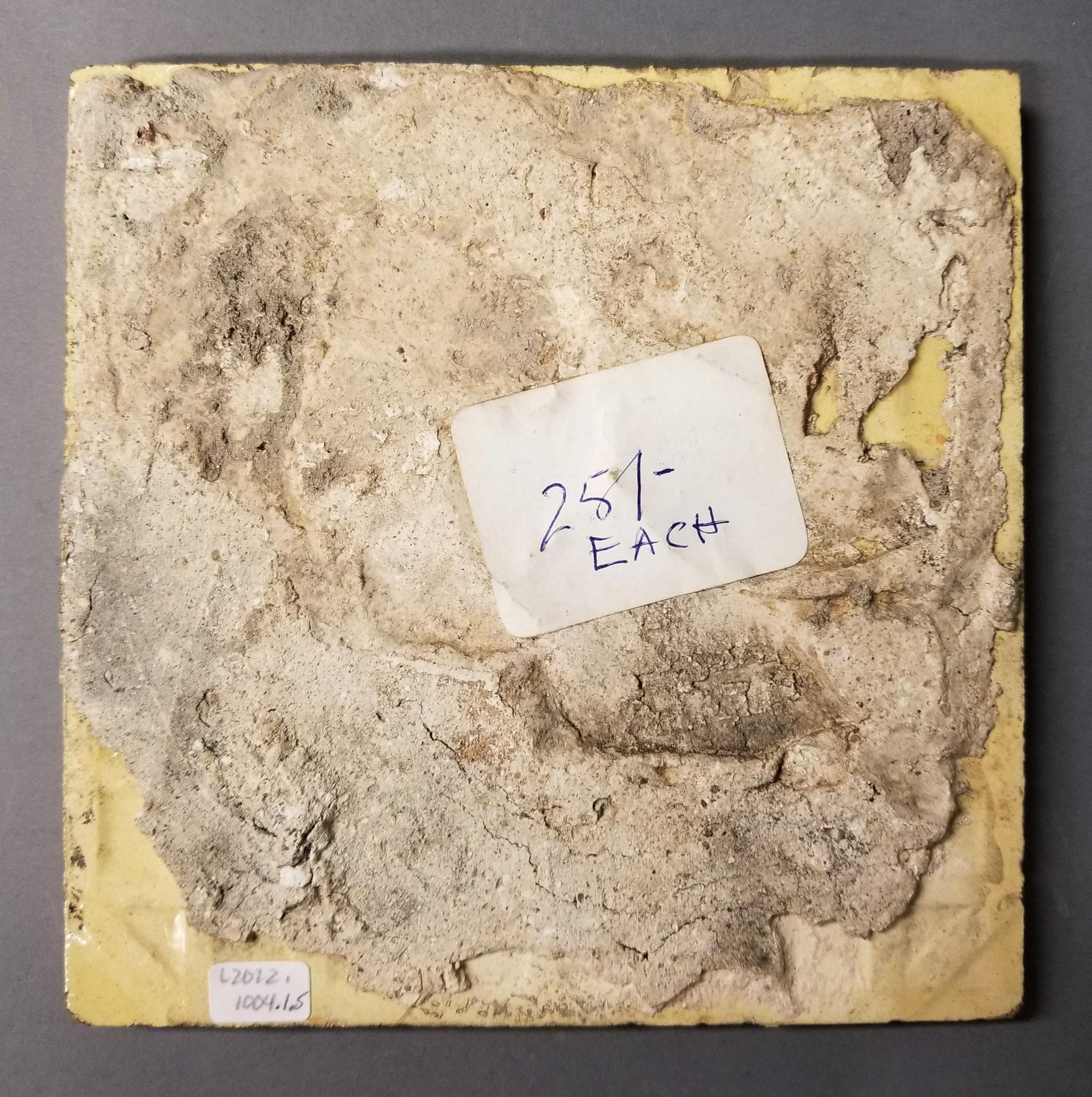 2022.0018.001.005 Tile reverse