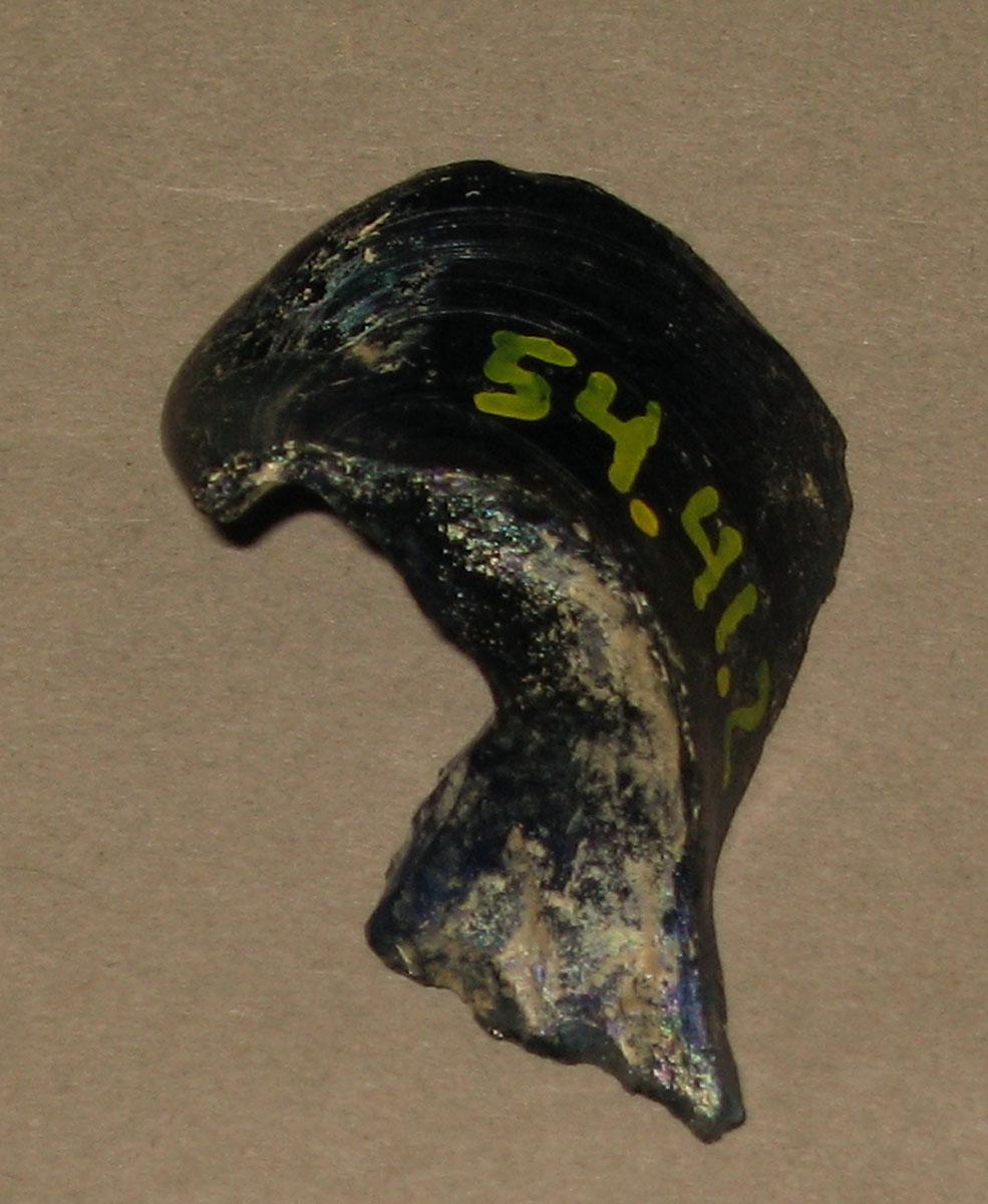 1954.0041.002 Glass fragment