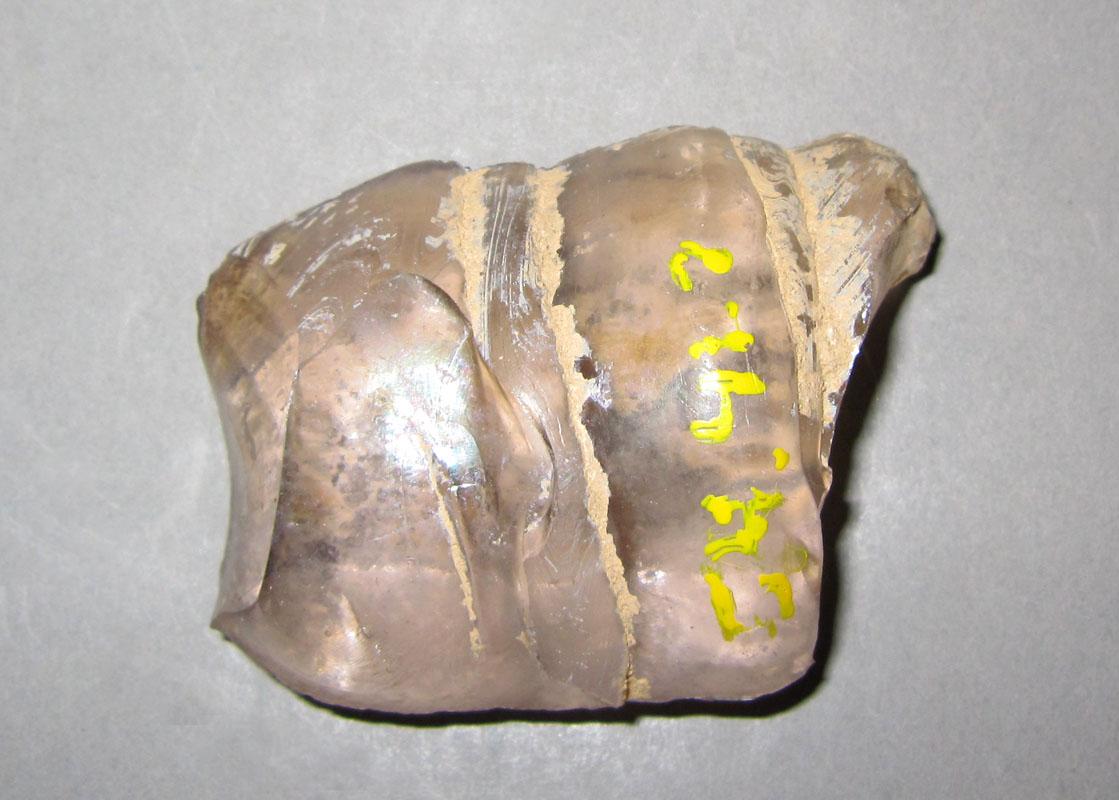 1954.0041.007 Glass fragment view2