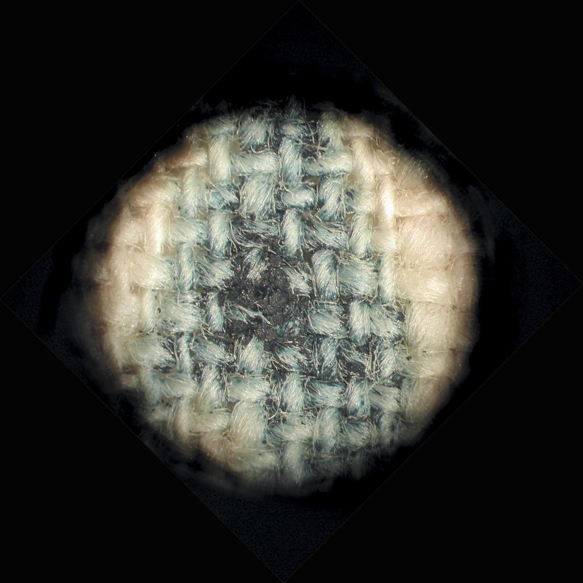 1960.0008 Quilt center, detail, photomicrograph, Book image Fig. 6.07