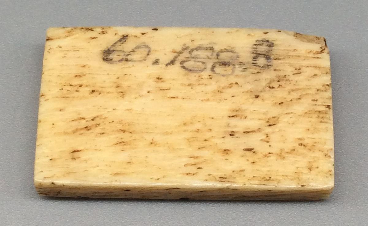 1960.0188.008 Domino, view 2