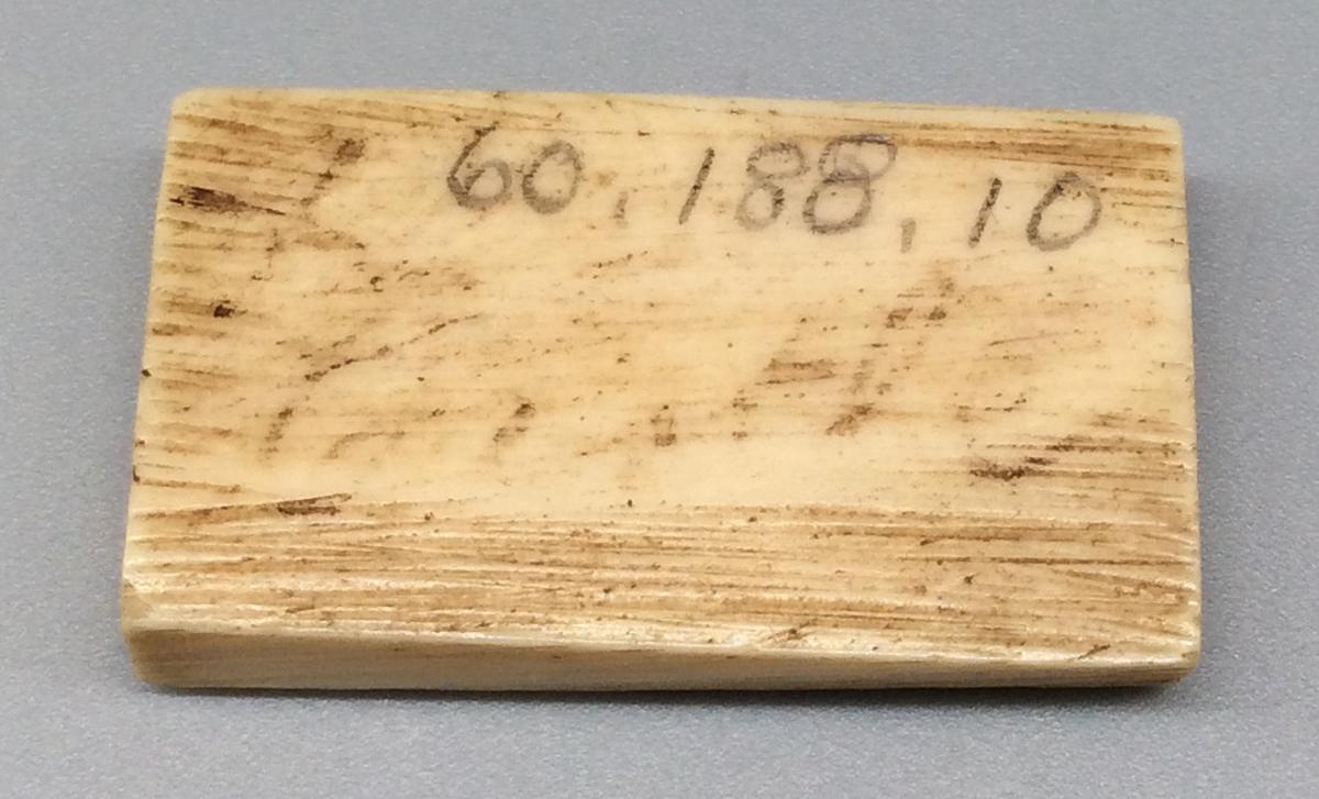 1960.0188.010 Domino, view 2
