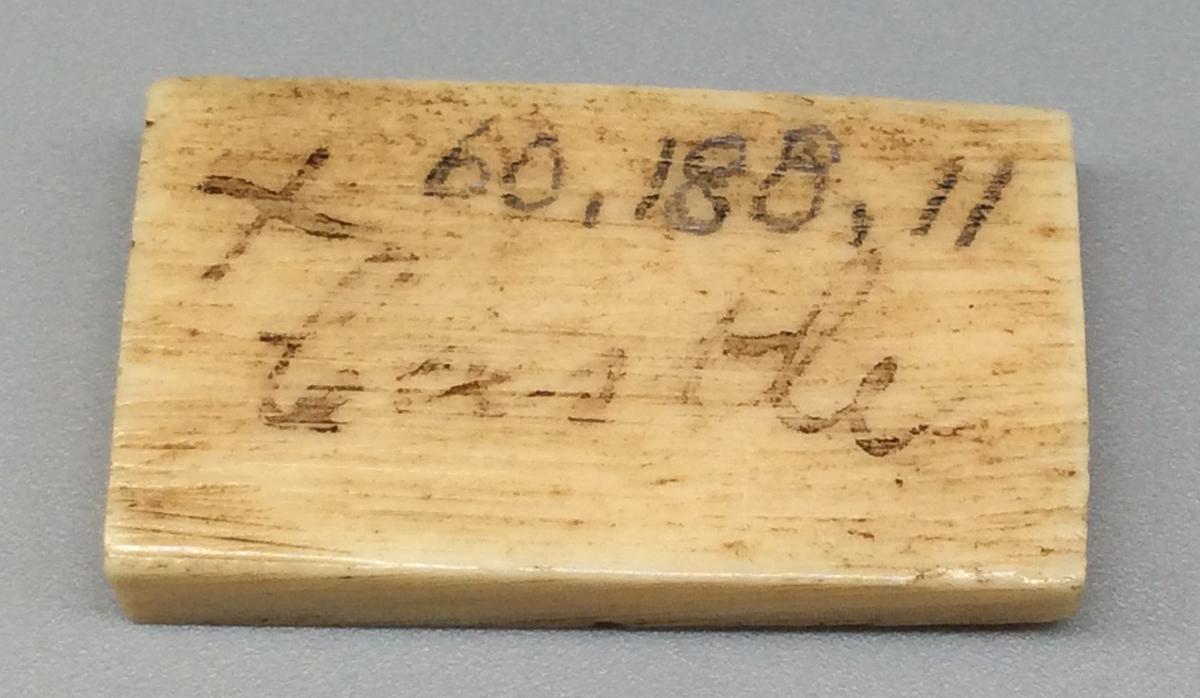 1960.0188.011 Domino, view 2
