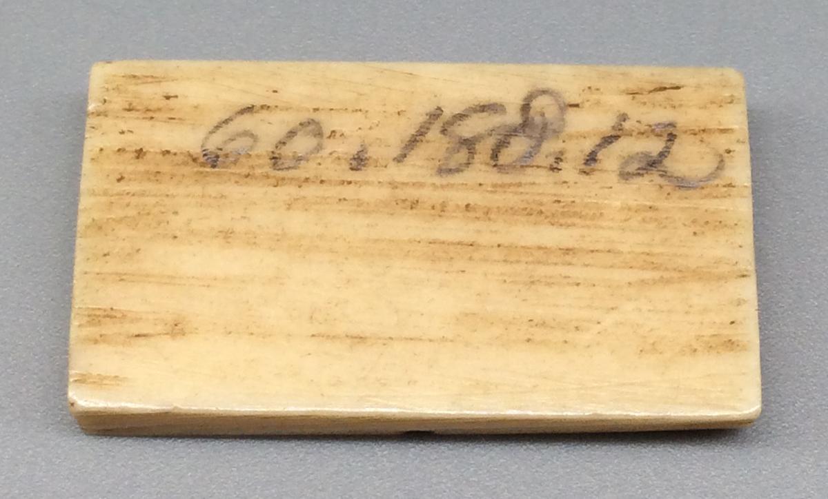 1960.0188.012 Domino, view 2